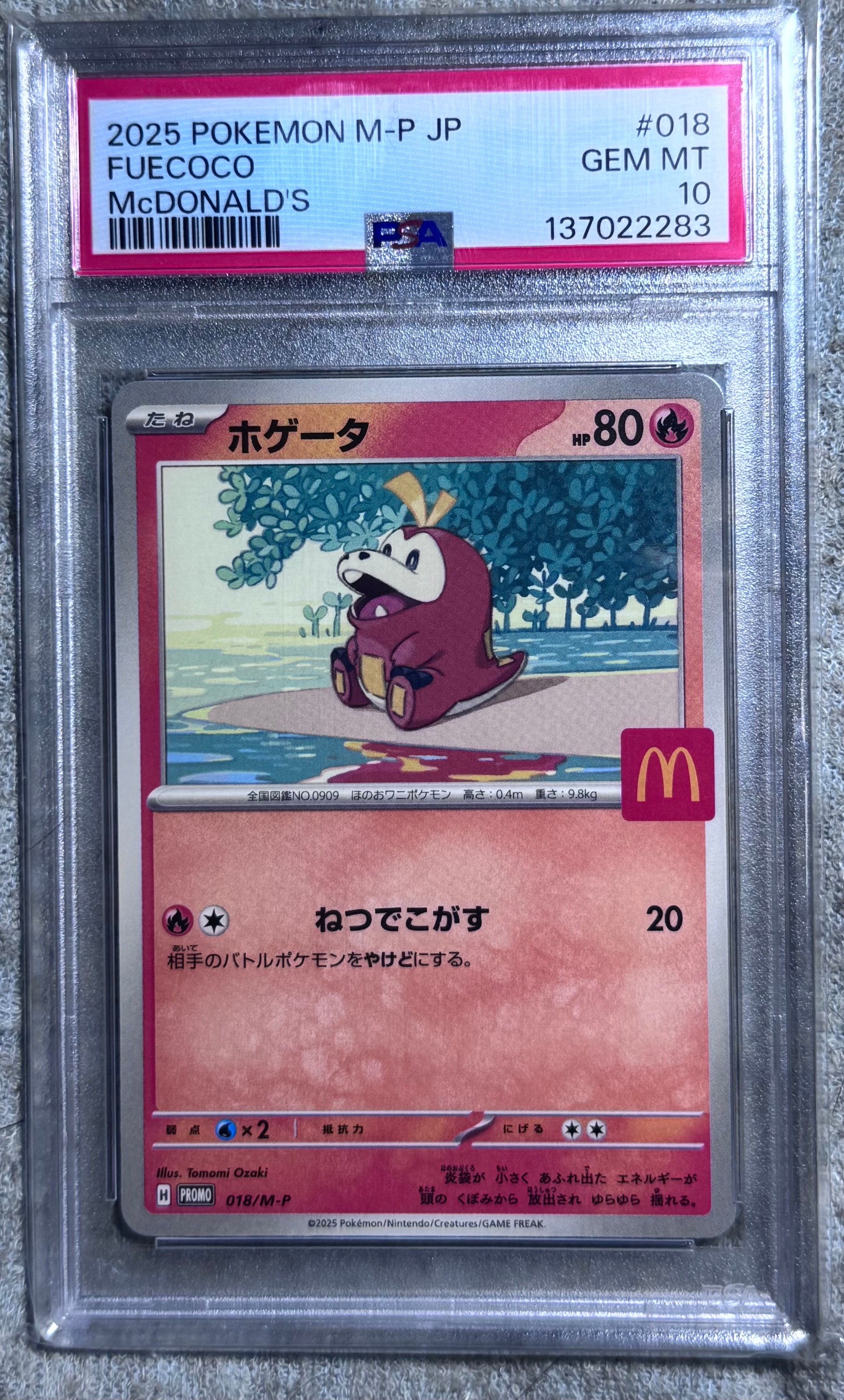 ポケカ　ホゲータ　モココ　まとめ売り　psa10 マクドナルド　プロモ PSA10 ホゲータ マクドナルド プロモ ポケモンカード 2025 M-P JP
