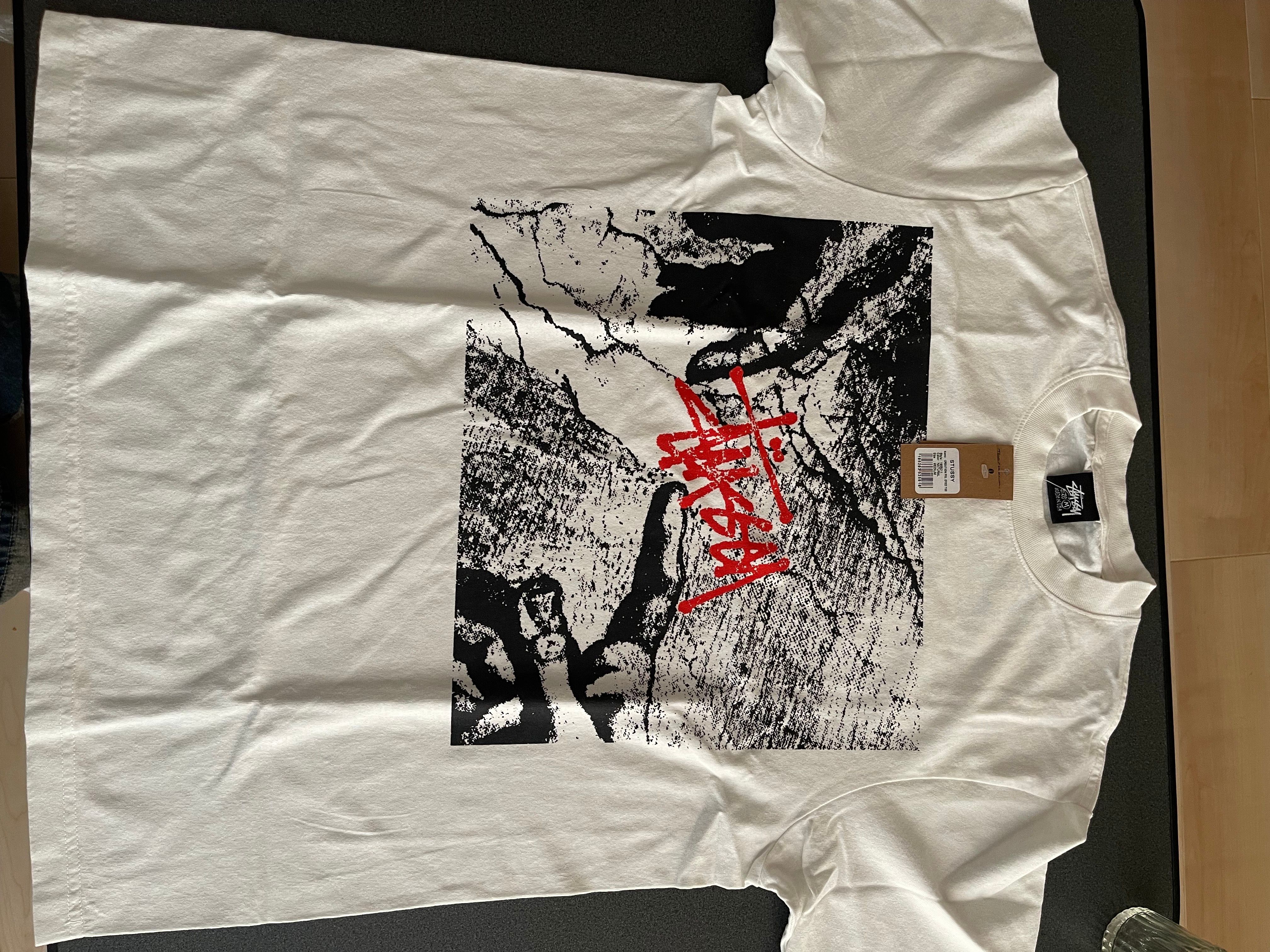 stussy CREATION PIG.DYED tee