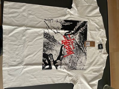 stussy CREATION PIG.DYED tee