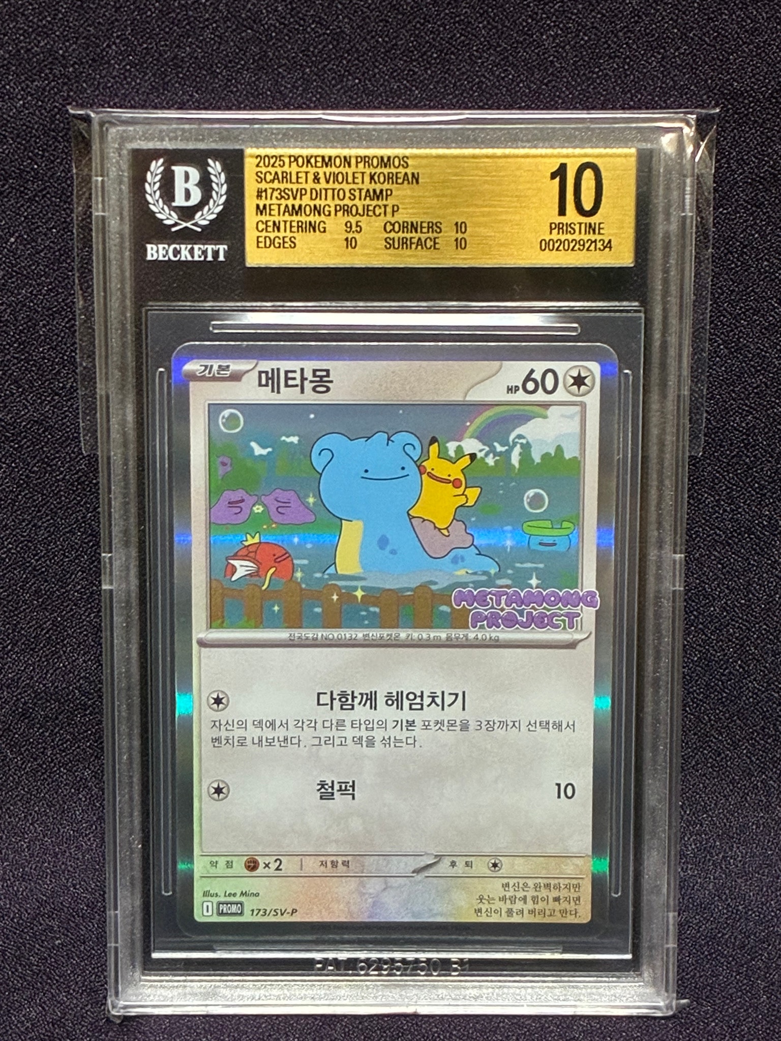 メタモン P [SV-P 173]【韓国語版】(ポケモンタウン2025 with ロッテ