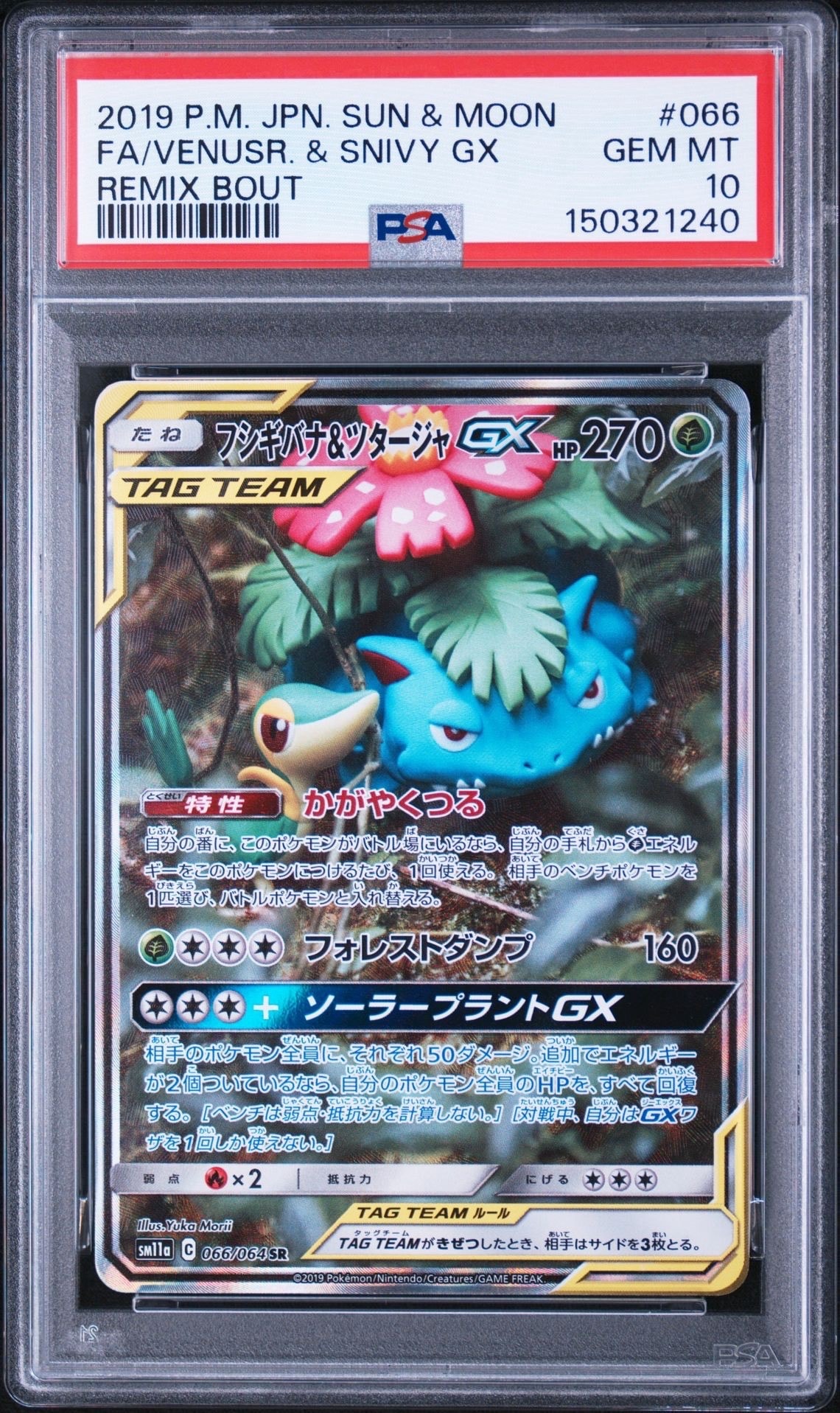 フシギバナ&ツタージャGX SR: SA[SM11a 066/064](強化拡張パック