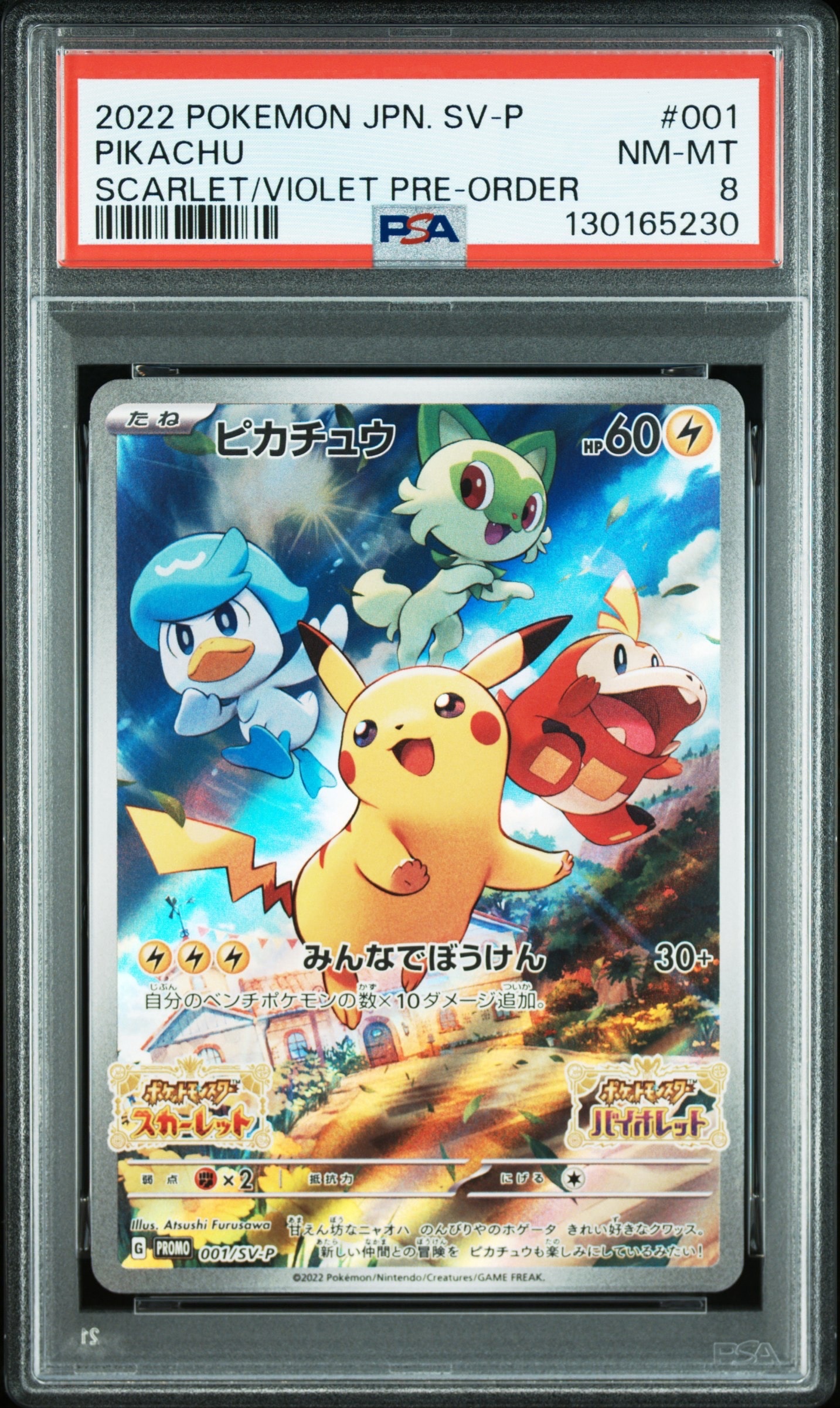 ピカチュウ&ゼクロムGX SR: SA [SM9 101/095](拡張パック「タッグ