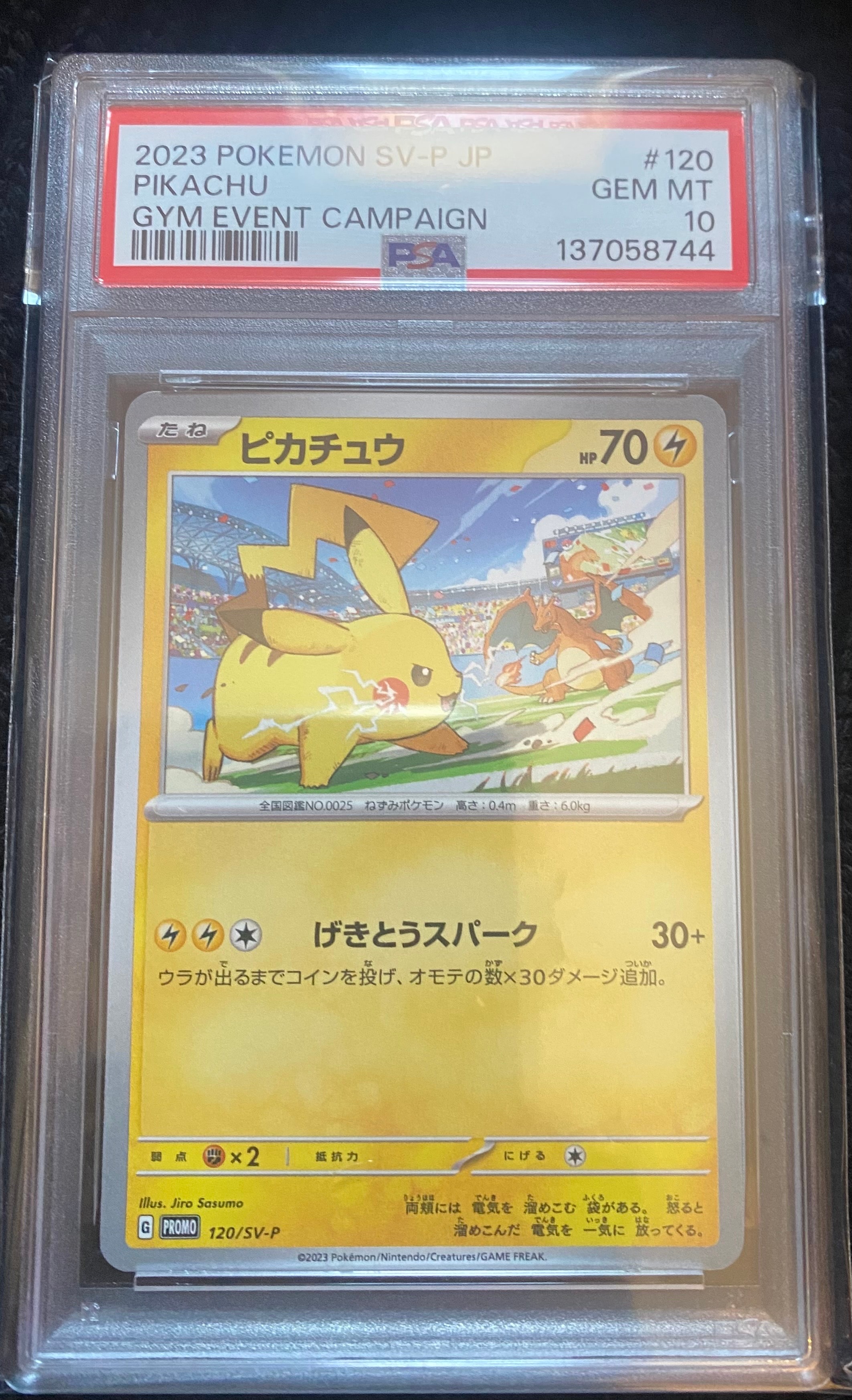 ピカチュウ: プロモ [SV-P 120](プロモーションカード「SV-P」)の新品