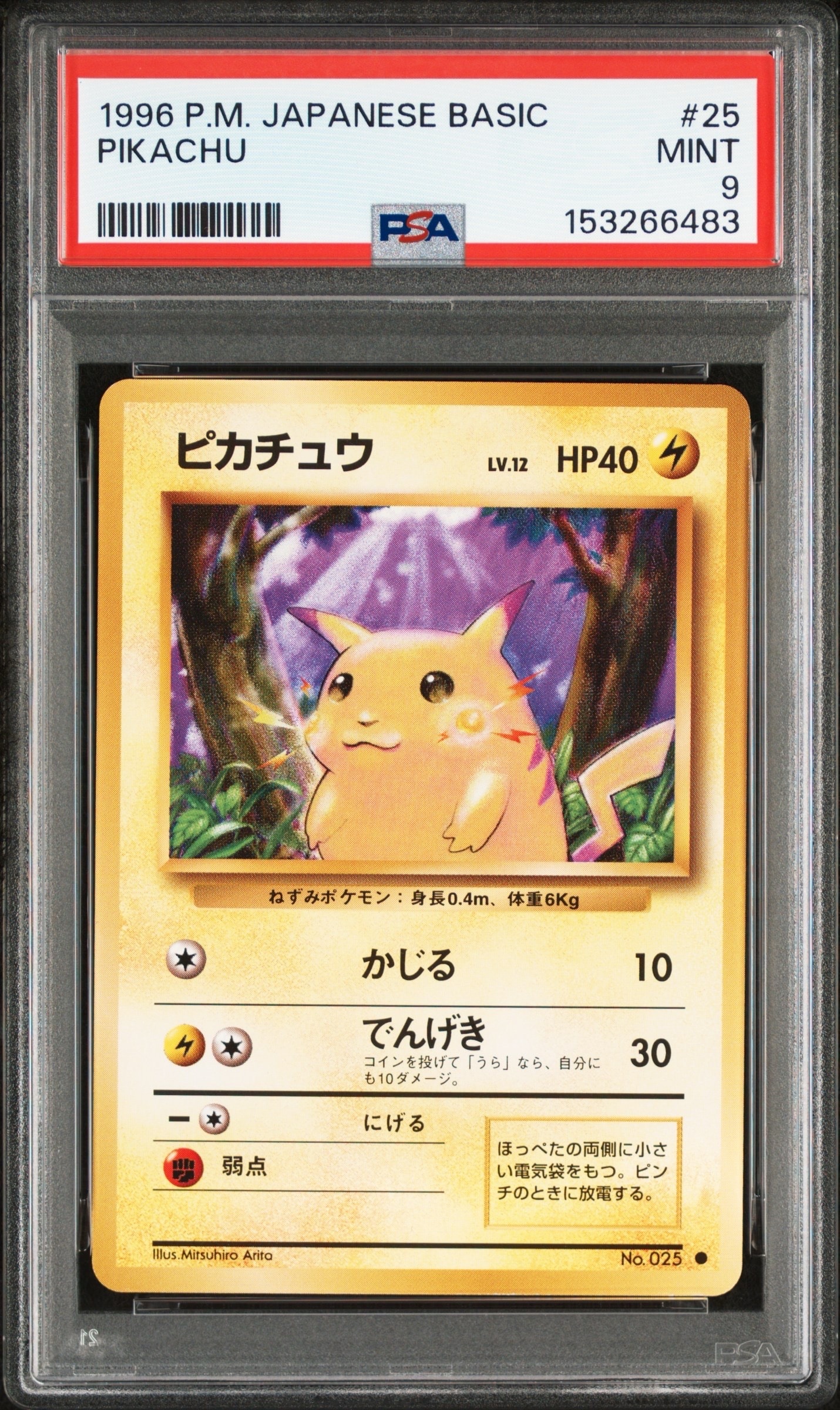 ピカチュウ ● : 旧裏 [PMCG1-2](拡張パック「ポケットモンスター カードゲーム」再販)