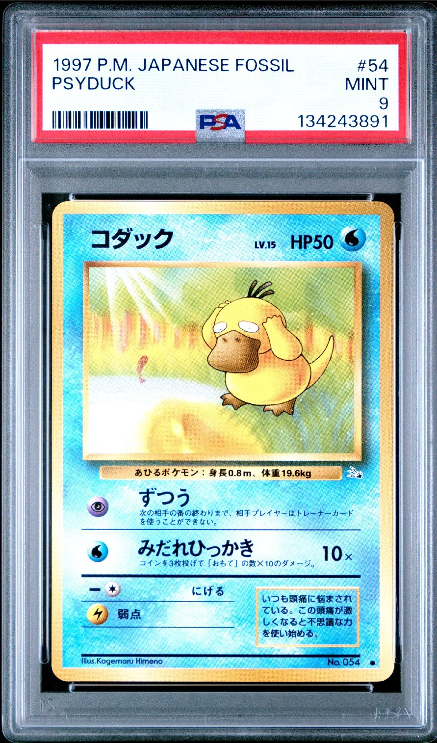 コダック ● : 旧裏 [PMCG3 No.054](拡張パック「化石の秘密」)