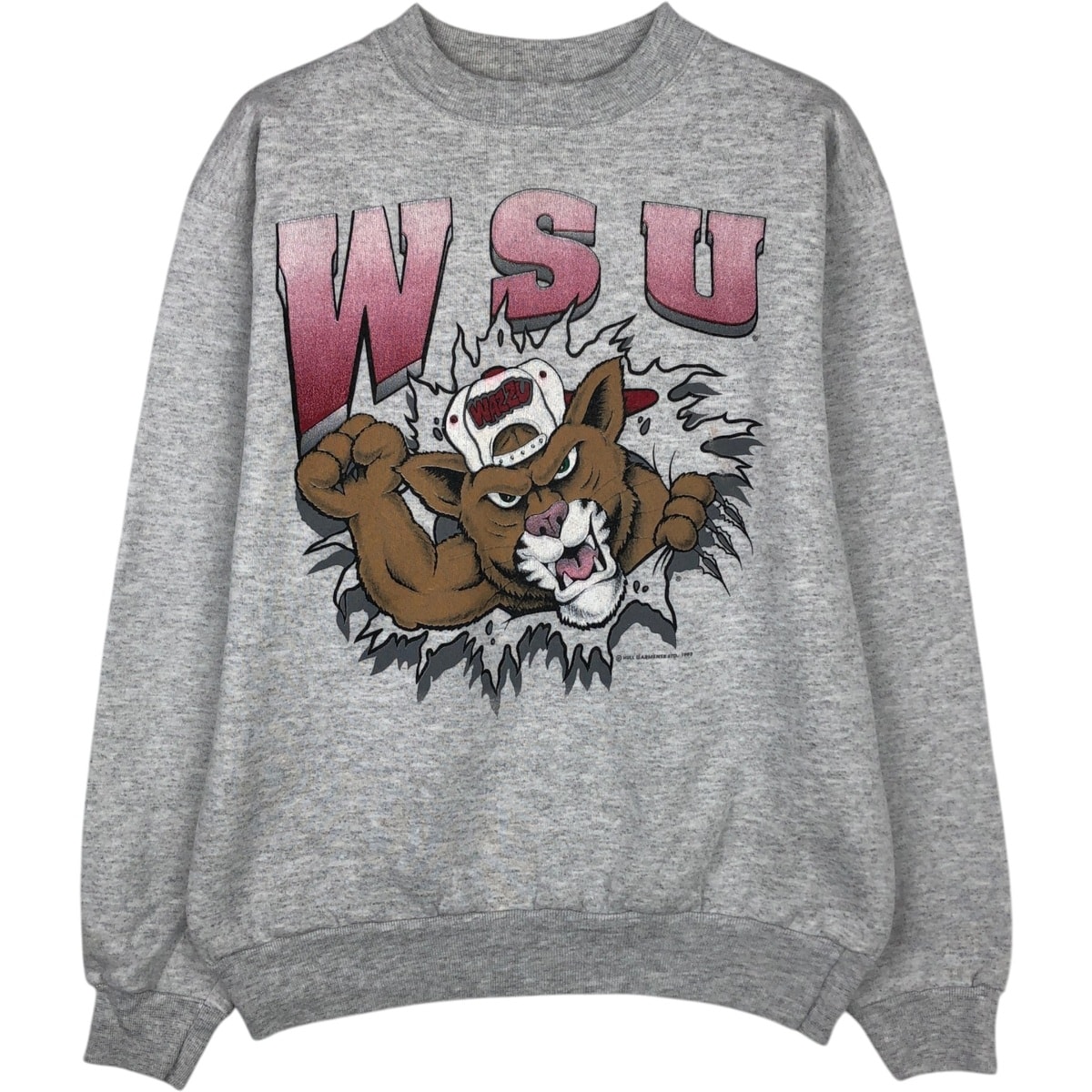 古着 90年代 オニータ ONEITA カレッジスウェットシャツ トレーナー USA製 メンズL相当 ヴィンテージ/eaa630023