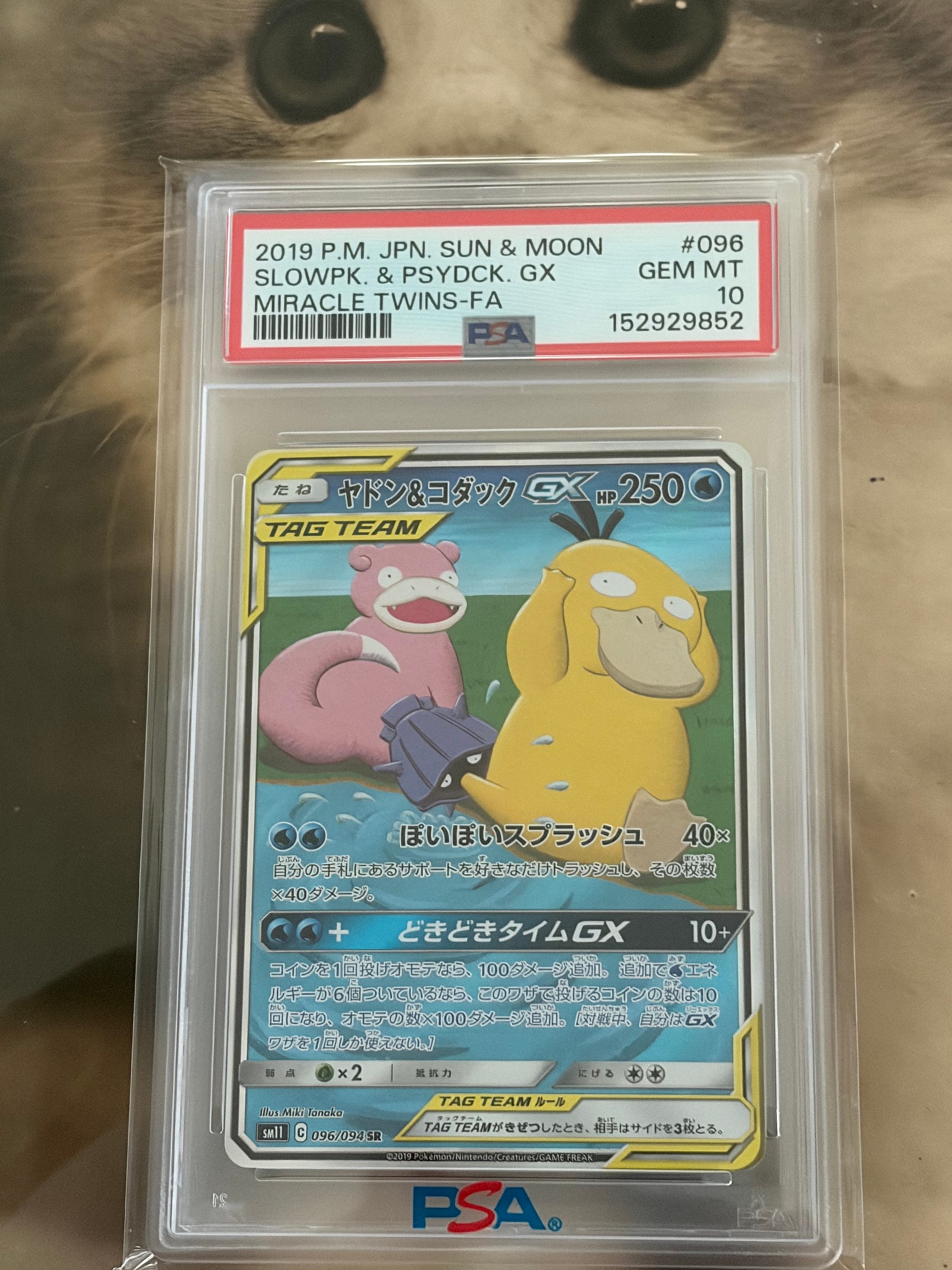 ヤドン&コダックGX SR: SA[SM11 096/094](拡張パック「ミラクルツイン