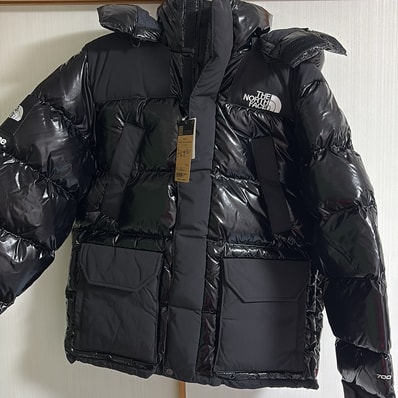 Supreme x The North Face 700-Fill Down Parka "Black" NF0A82R3JK3 / ND52206I