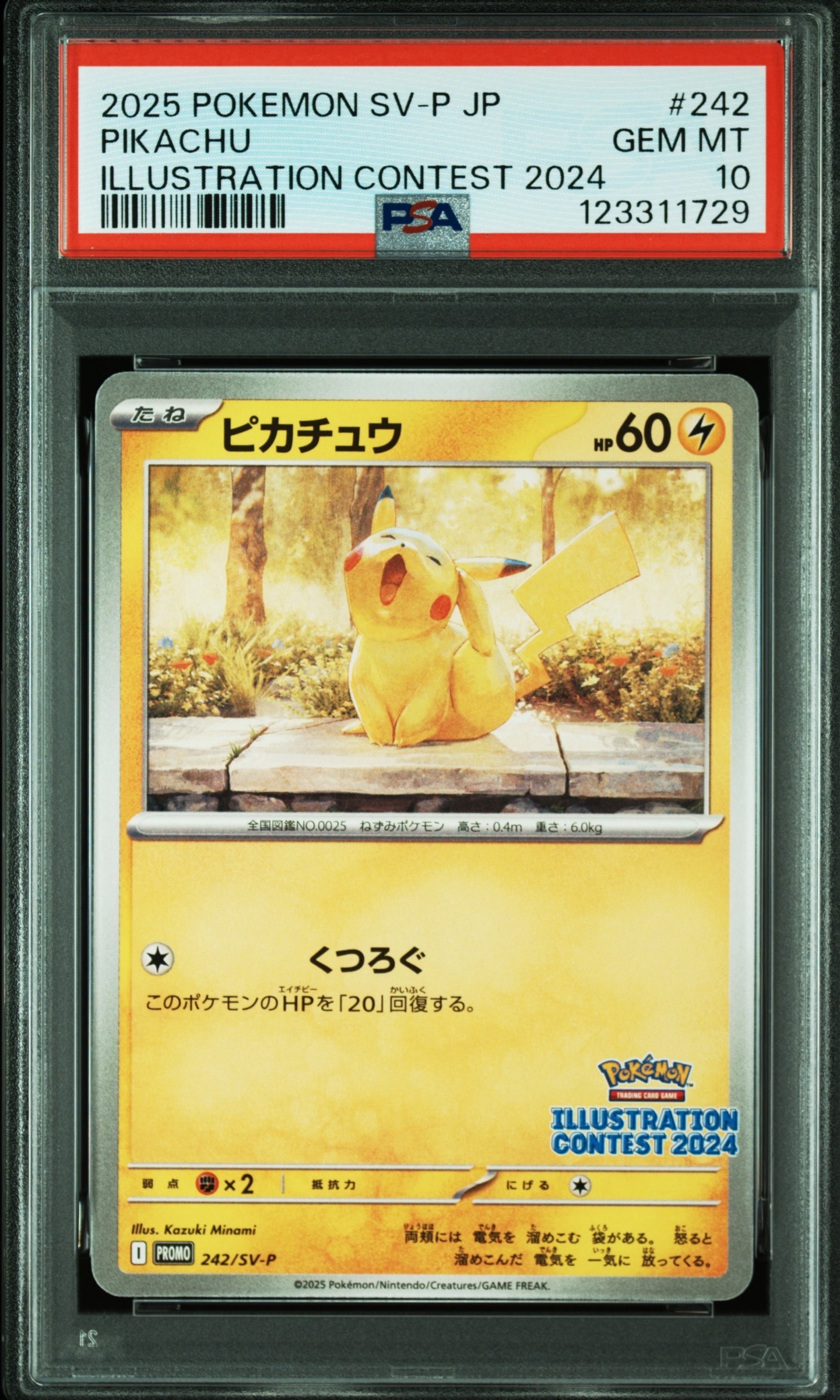 ピカチュウ [SV-P 242](プロモカードパック「イラストレーションコンテスト 2024 受賞作品プロモカード化記念キャンペーン」)