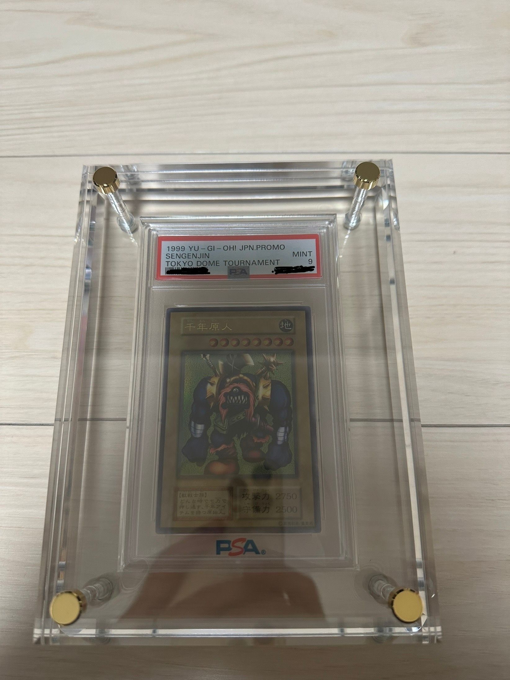 千年原人 UR[千年原人-UR](全国大会配布)