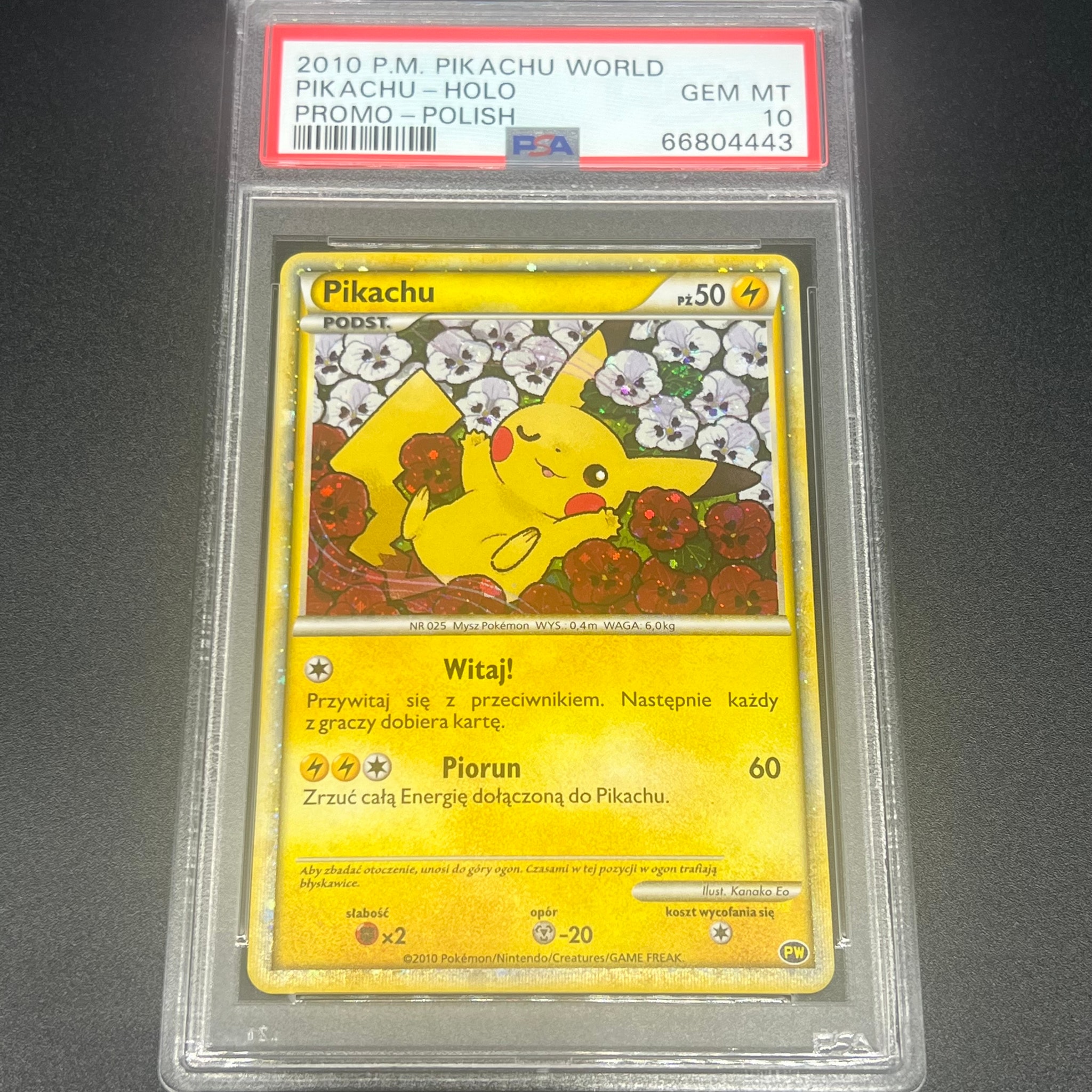 ピカチュウ ポーランド [PW](ポケモンカード LEGEND「ピカチュウ ワールド」)