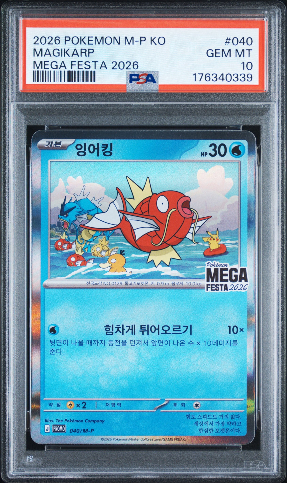 韓国限定ポケモンカード　MEGA FESTA 2026 コイキング　プロモ　1枚 コイキング プロモ [040/M-P]【韓国語版】(プロモーションカード
