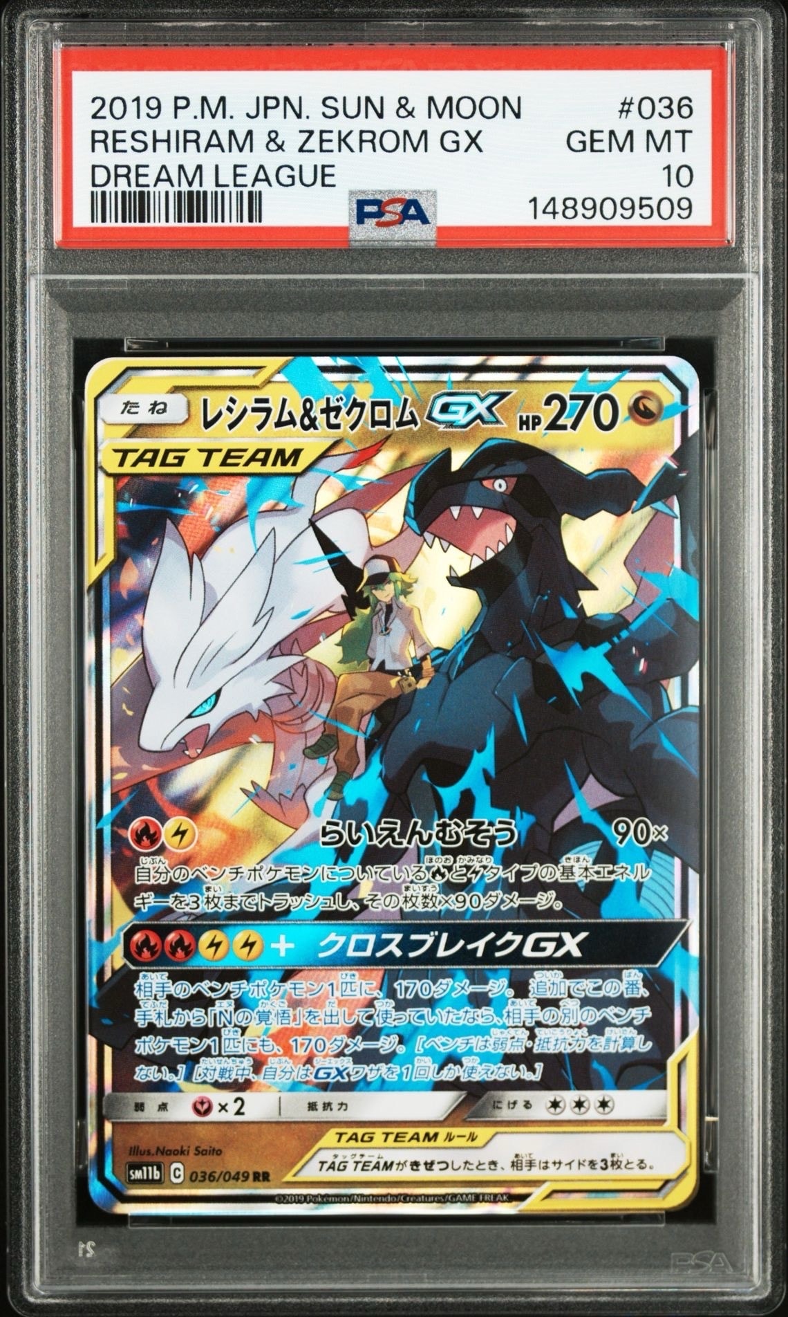 レシラム&ゼクロムGX (N) RR[SM11b 036/049](強化拡張パック「ドリームリーグ」)