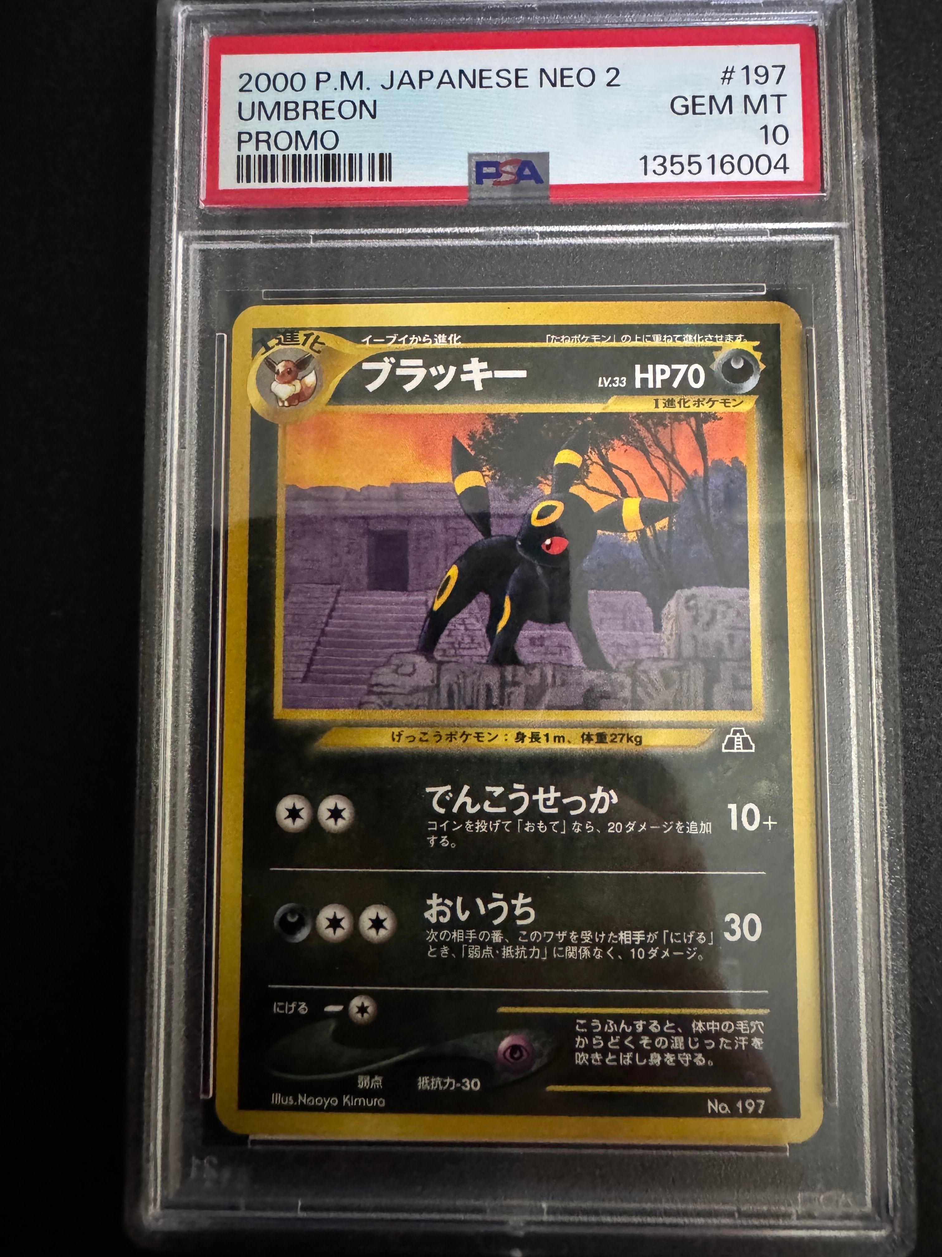 PSA10】ブラッキープレミアムファイル2: 旧裏[neoP2 No.197
