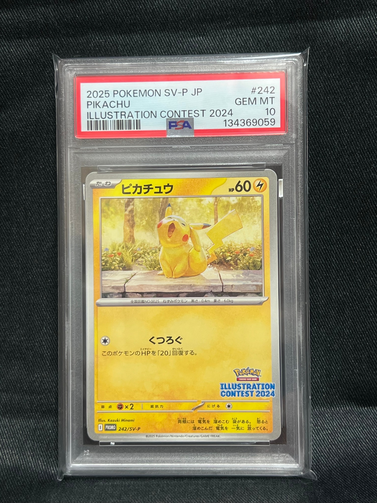 ピカチュウ [SV-P 242](プロモカードパック「イラストレーション