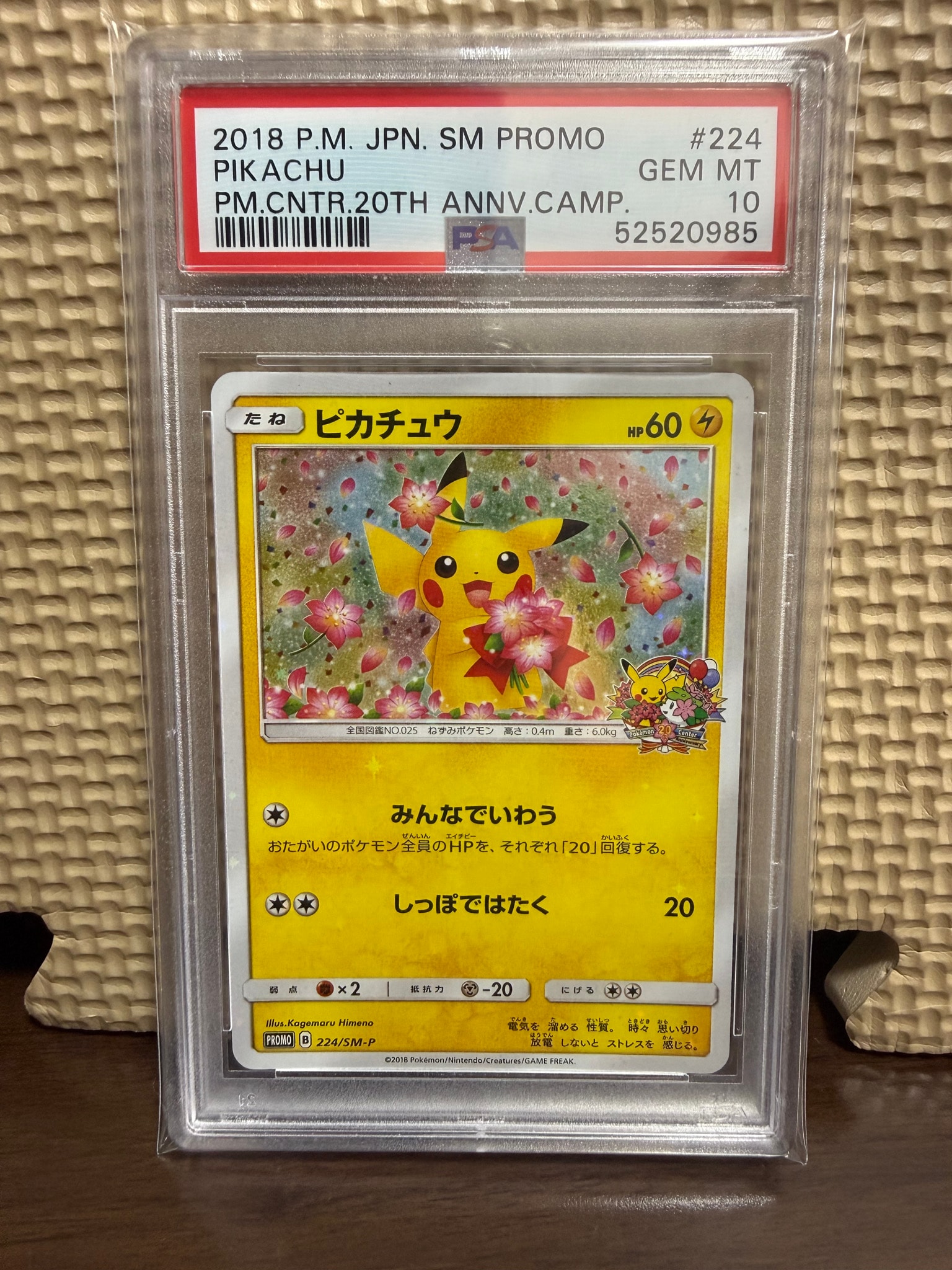 鑑定品　PSA10 ピカチュウ プロモ SM-P 376 プロモーションカード ピカチュウ: プロモ[SM-P 224](プロモーションカード「SM-P」)通販