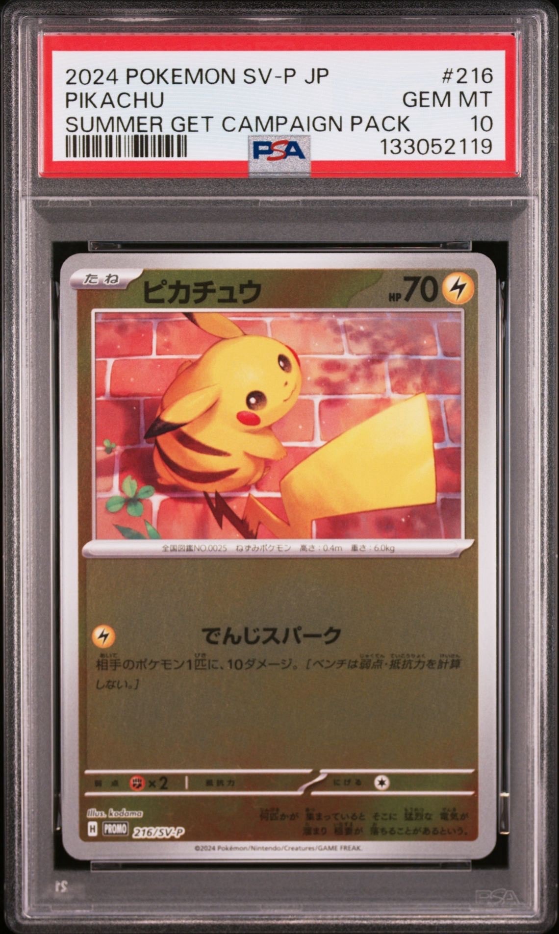 ピカチュウ P [SV-P 216](プロモカードパック「ポケカの夏がキタ!プロモカードGetキャンペーン!」)