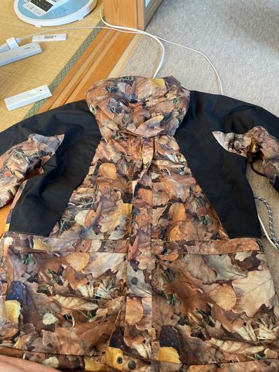 Supreme x The North Face Leaves Mountain Light Jacket "Leaves"