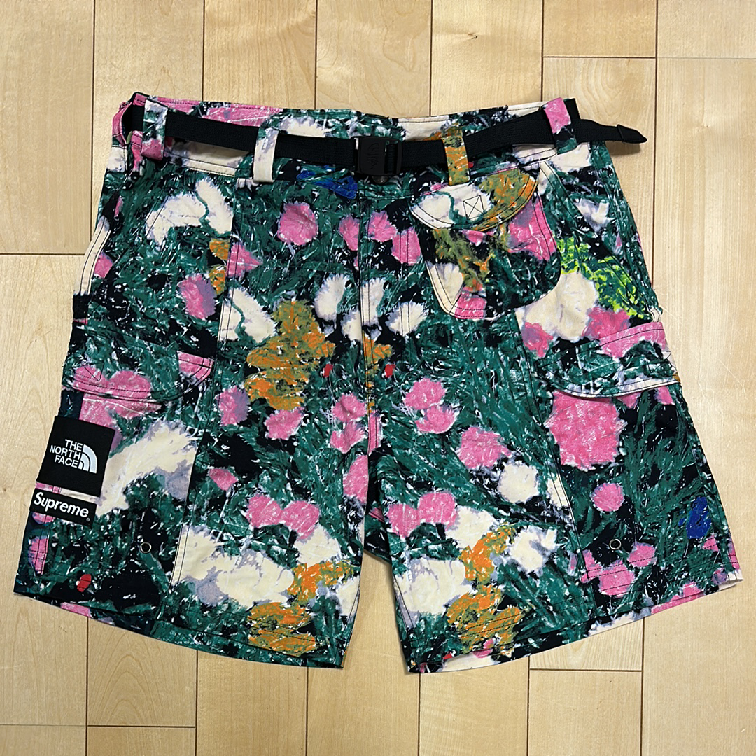 Supreme x The North Face Trekking Packable Belted Short 
