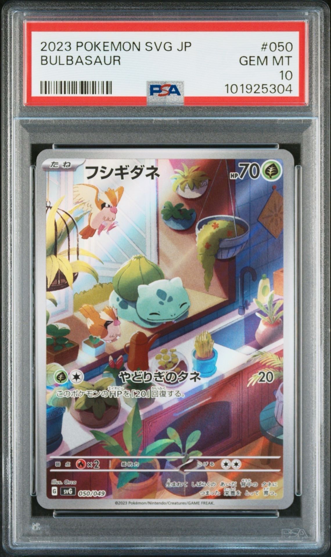 フシギダネ :フルイラスト [SVG 050/049](スペシャルデッキセットex「フシギバナ・リザードン・カメックス」)