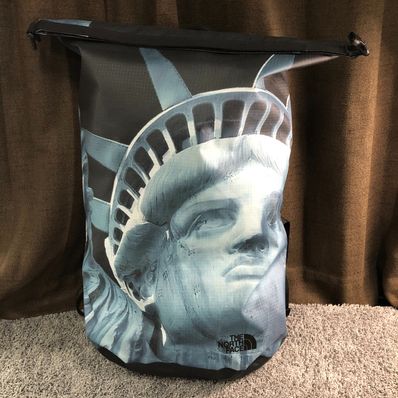 Supreme x The North Face Statue of Liberty Waterproof Backpack "Black"