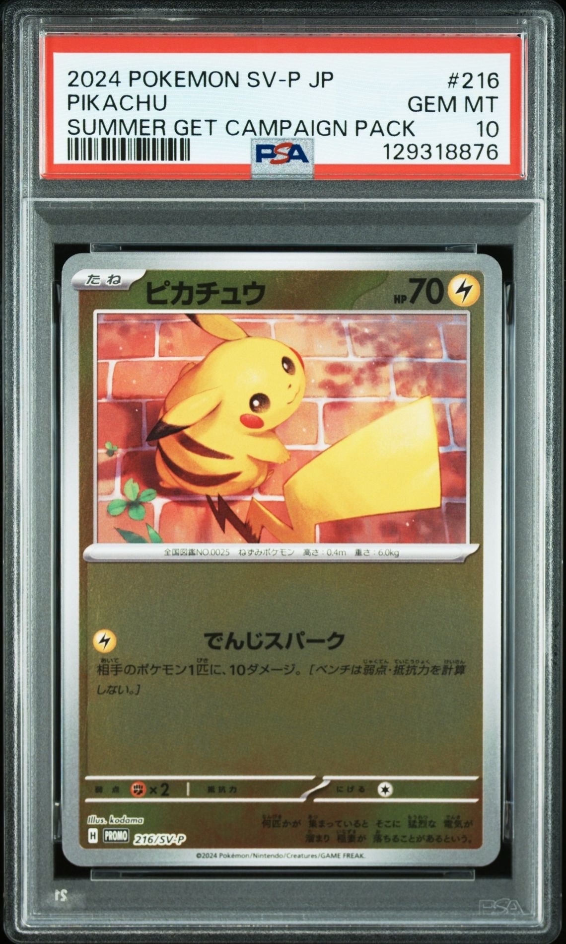 ピカチュウ P [SV-P 216](プロモカードパック「ポケカの夏がキタ!プロモカードGetキャンペーン!」)