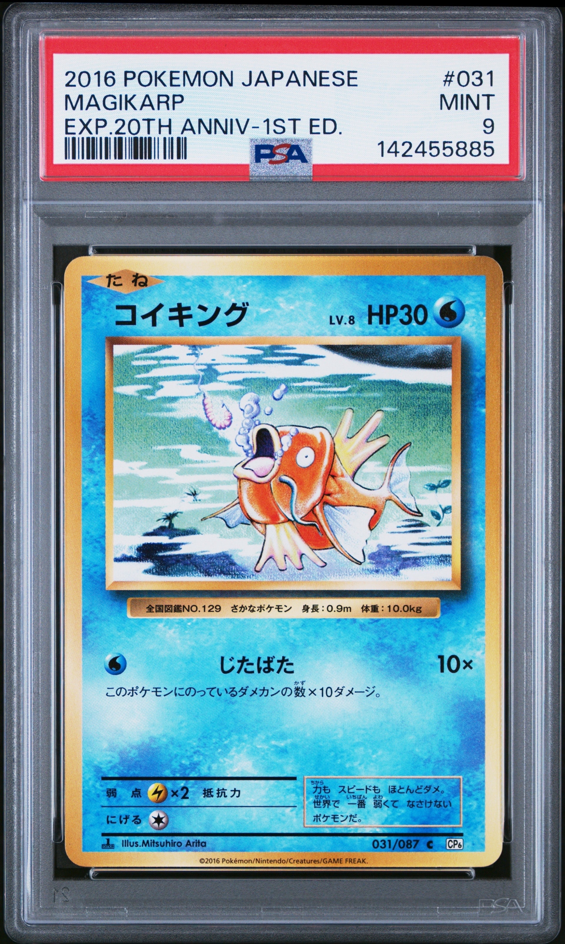 コイキング C :1ED [CP6 031/087](コンセプトパック「ポケットモンスターカードゲーム 拡張パック 20th Anniversary」)