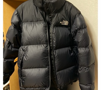 The North Face Nuptse Jacket 2025 "Black"