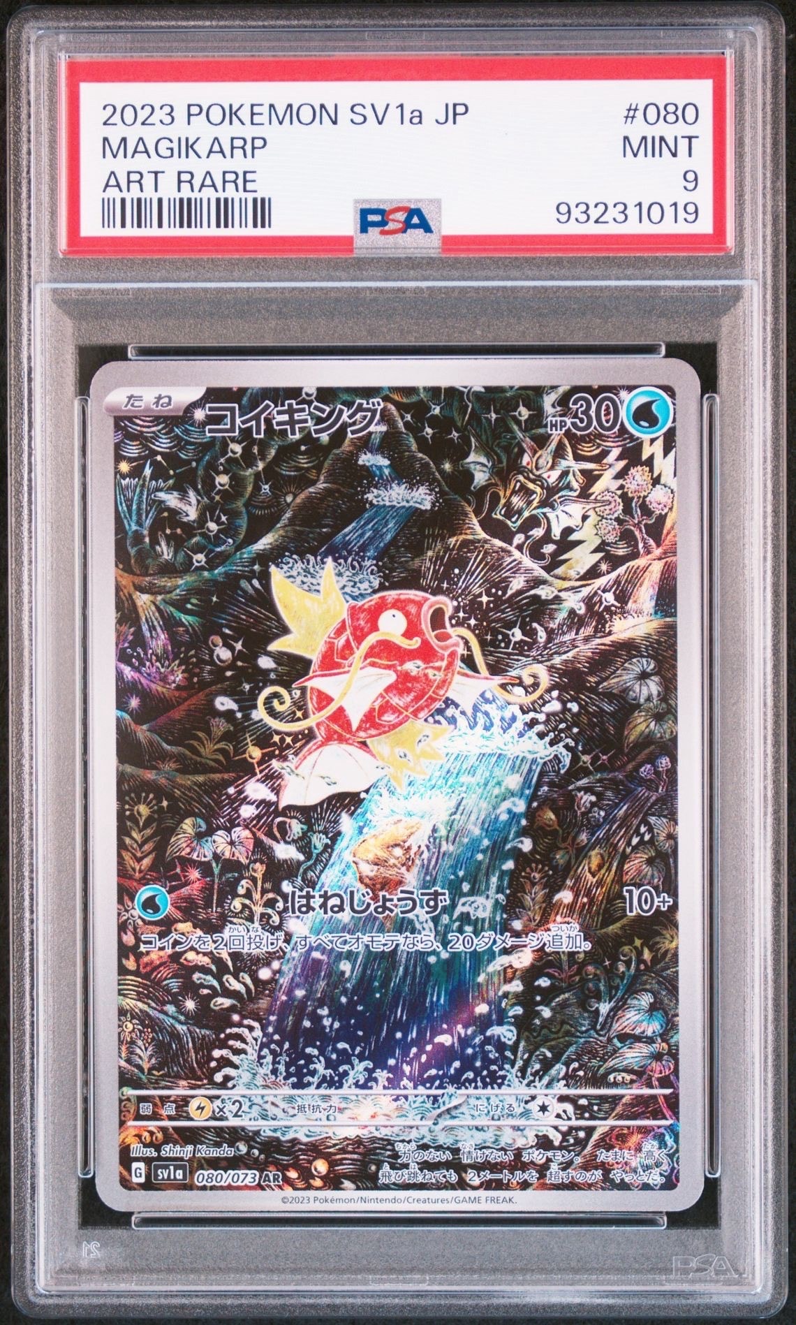 コイキング AR[SV1a 080/073](スカーレット&バイオレット 拡張パック「トリプレットビート」)