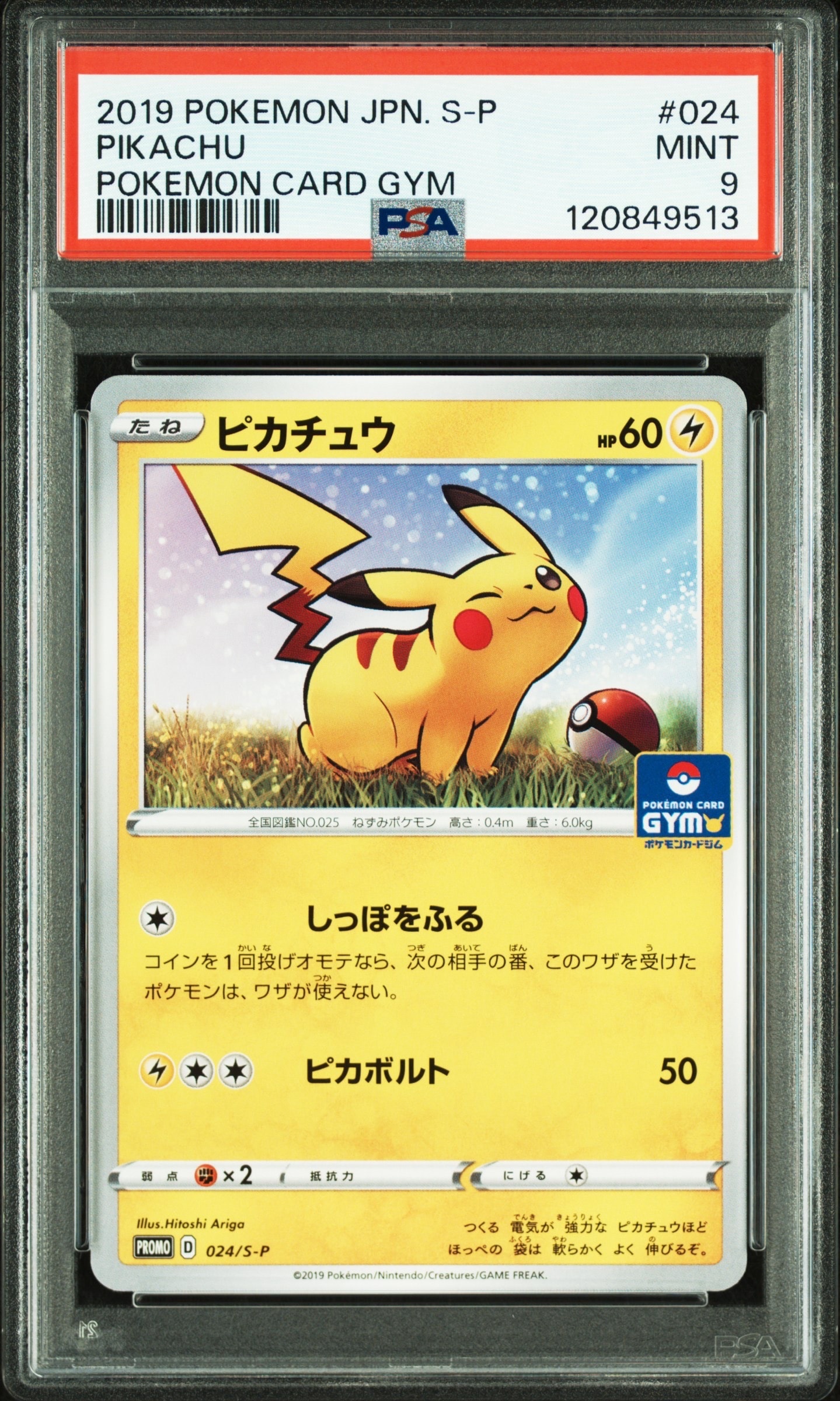 ピカチュウ: プロモ P [S-P 024](ポケモンカードゲーム ソード&シールド 「プロモカードパック 第1弾」)