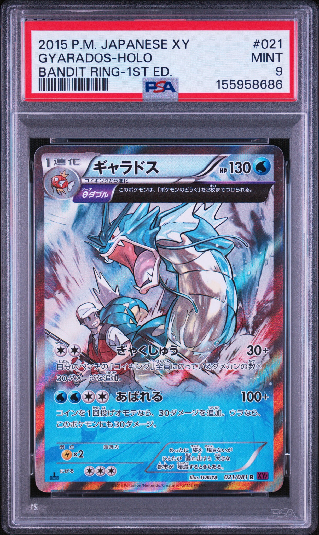 ギャラドス R :1ED [XY7 021/081](拡張パック「バンデットリング」)