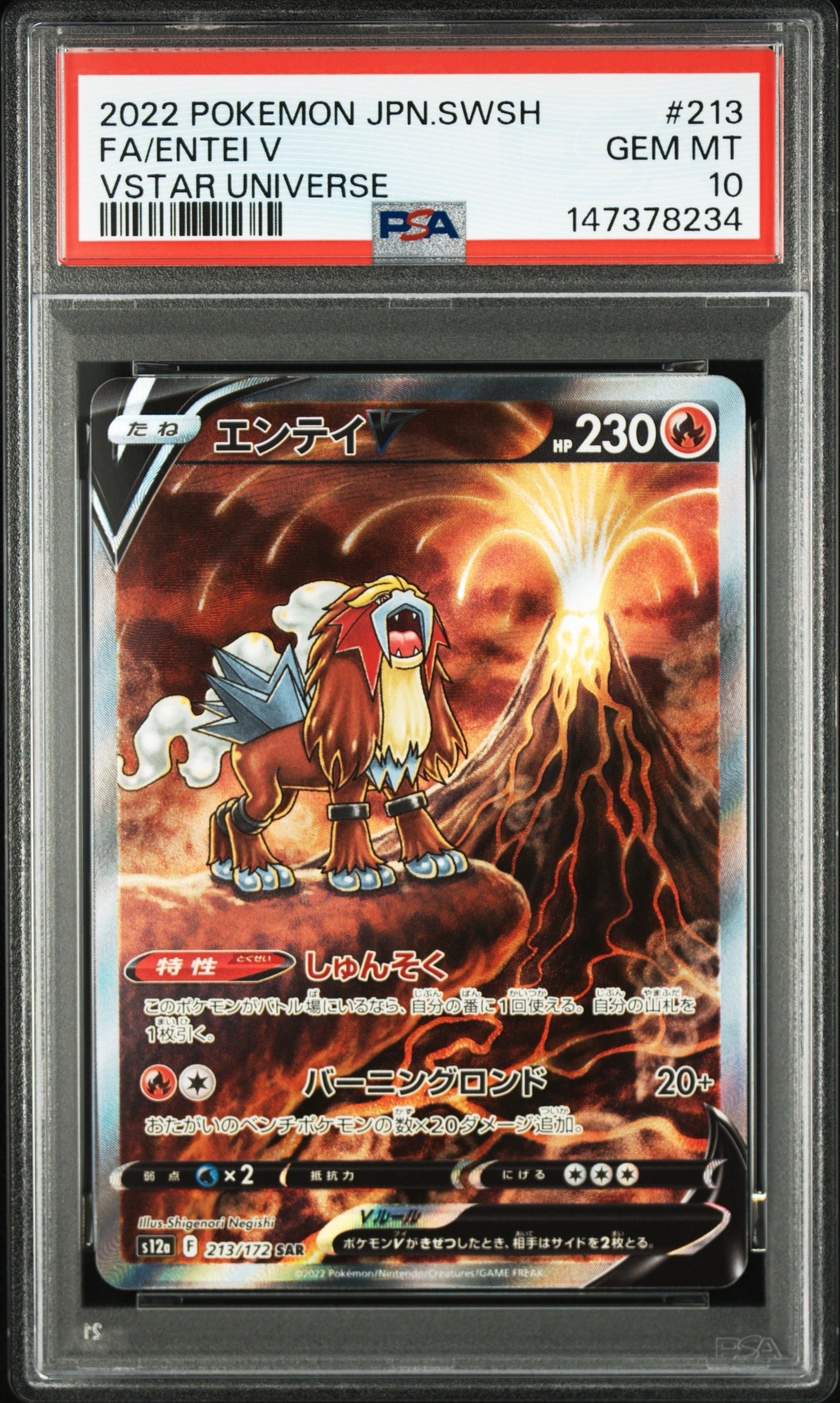 PSA10】エンテイV SAR[s12a 213/172](ハイクラスパック「VSTAR