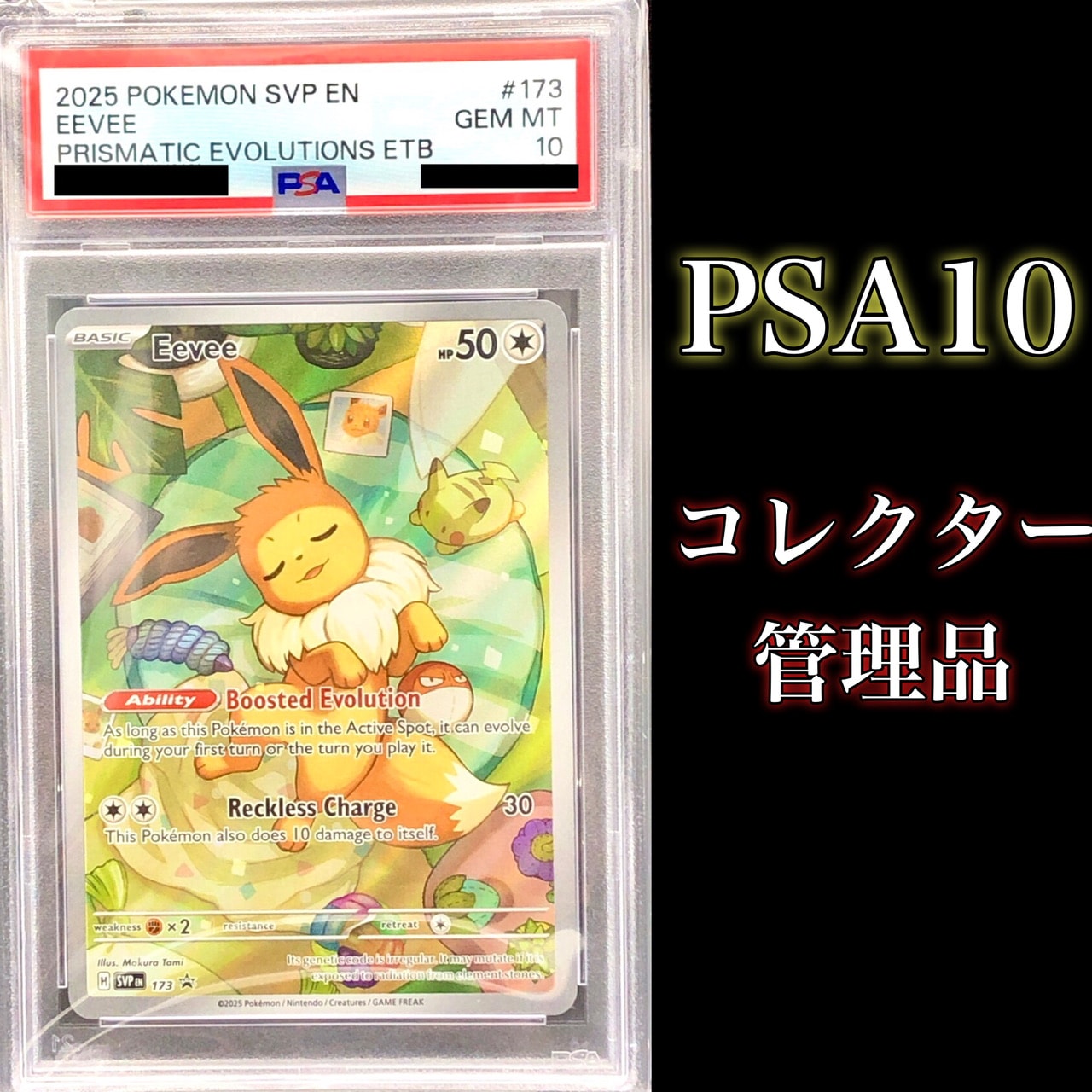 イーブイ P [SVP EN 173]【英語版】(スカーレット&バイオレット「プリズマティックエボリューションズ エリートトレーナボックス」)