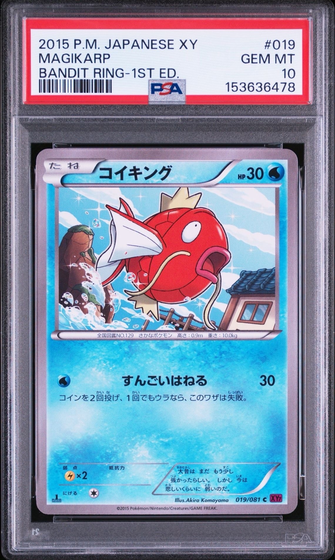 コイキング C :1ED [XY7 019/081](拡張パック「バンデットリング」)