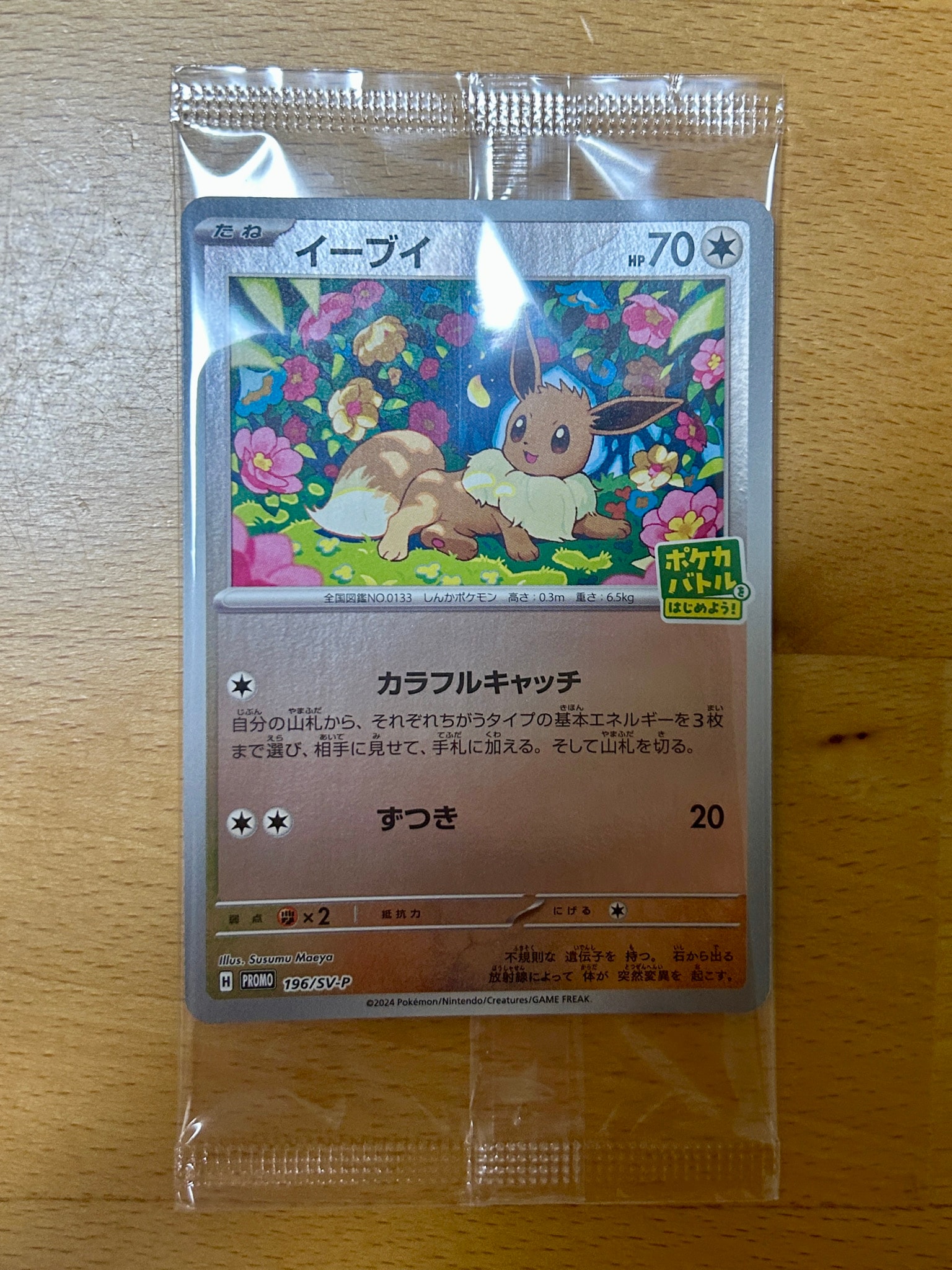 イーブイ P [SV-P-SM 196](プロモカードパック「ポケカバトルをはじめよう!キャンペーン」)