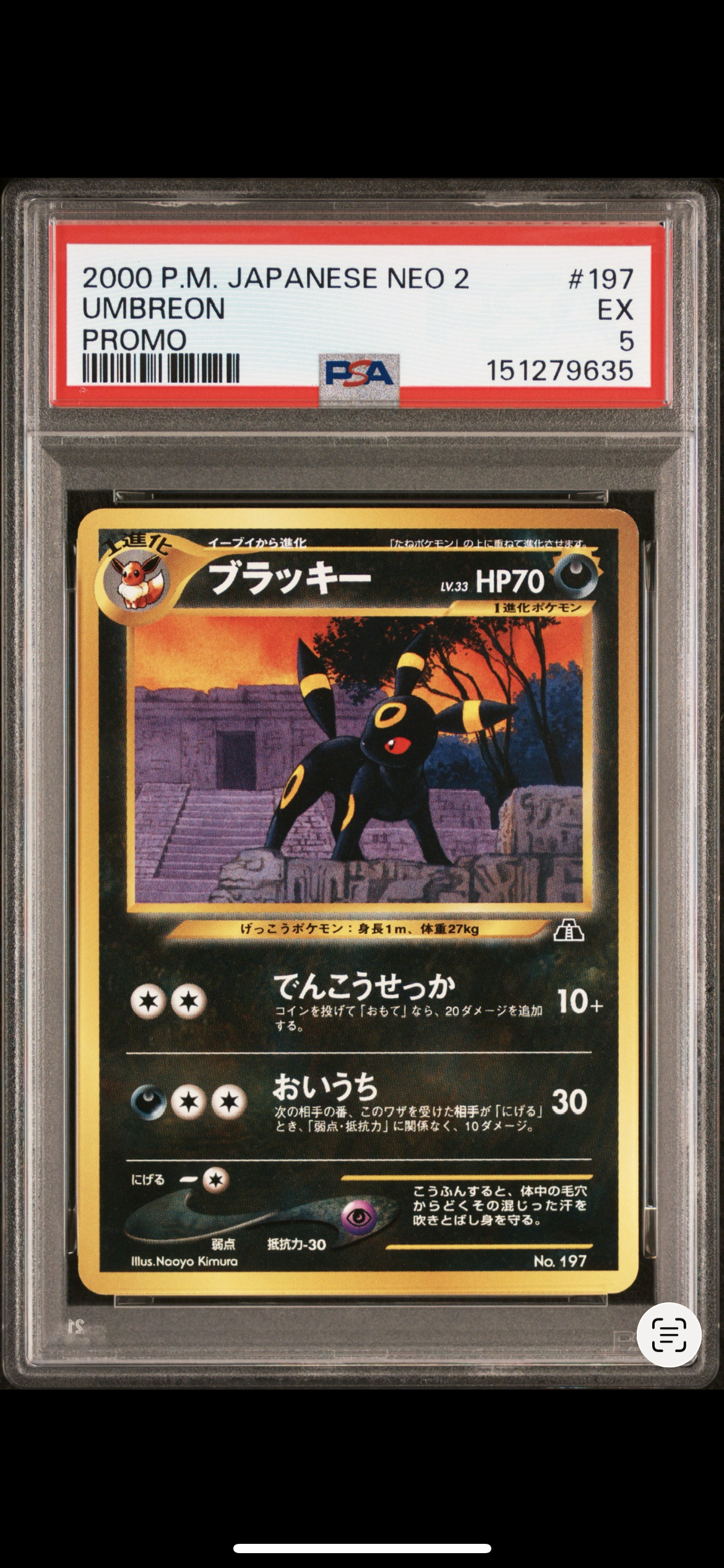 ブラッキー 旧裏 ポケモンカード プロモ プレミアムファイル2 197 ブラッキープレミアムファイル2: 旧裏[neoP2 No.197](プレミアム