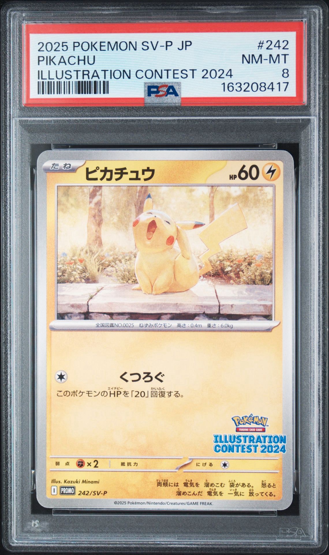 ポケモンカード　受賞作品プロモカード化記念キャンペーン　 ピカチュウ ピカチュウ [SV-P 242](プロモカードパック「イラストレーション