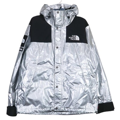 Supreme x The North Face Metallic Mountain Parka "Silver"
