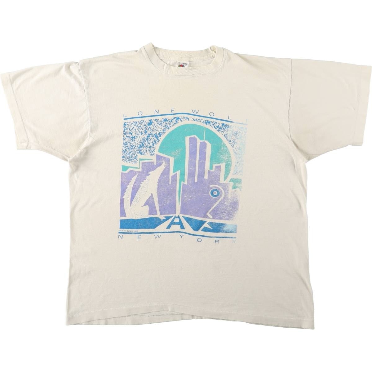 古着 90年代 フルーツオブザルーム FRUIT OF THE LOOM プリントTシャツ USA製 メンズXL相当/eaa642567