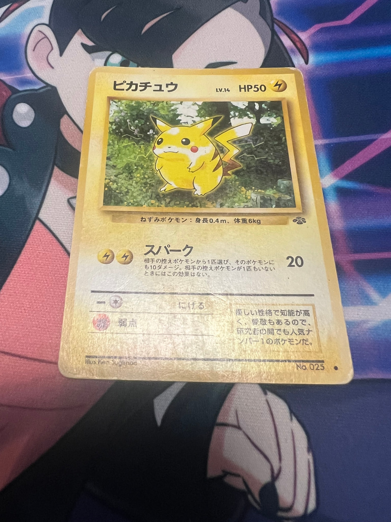 ピカチュウ ○ : 旧裏 [PMCG2 No.025](拡張パック「ポケモンジャングル