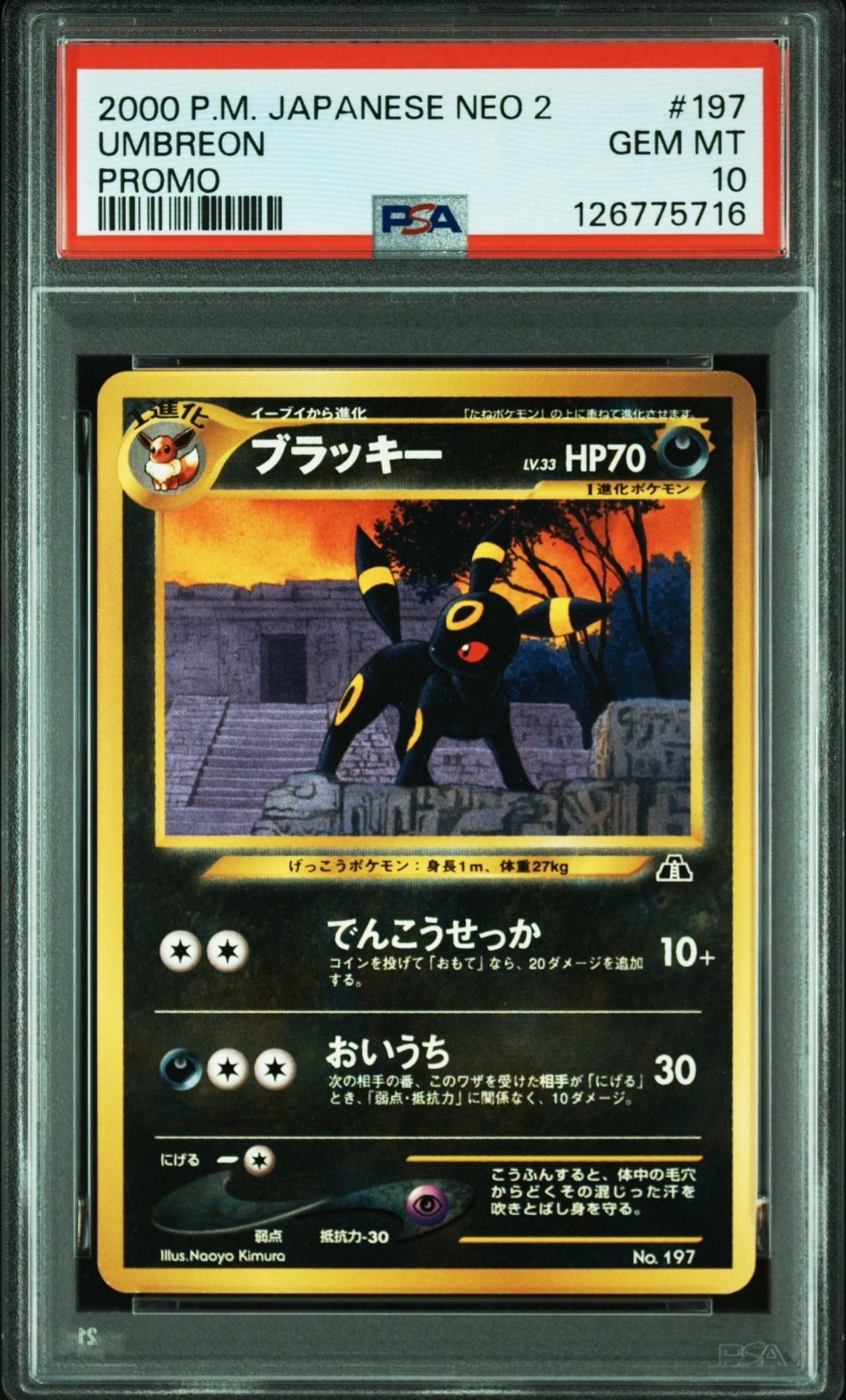 ブラッキープレミアムファイル2: 旧裏[neoP2 No.197](プレミアムファイル2)