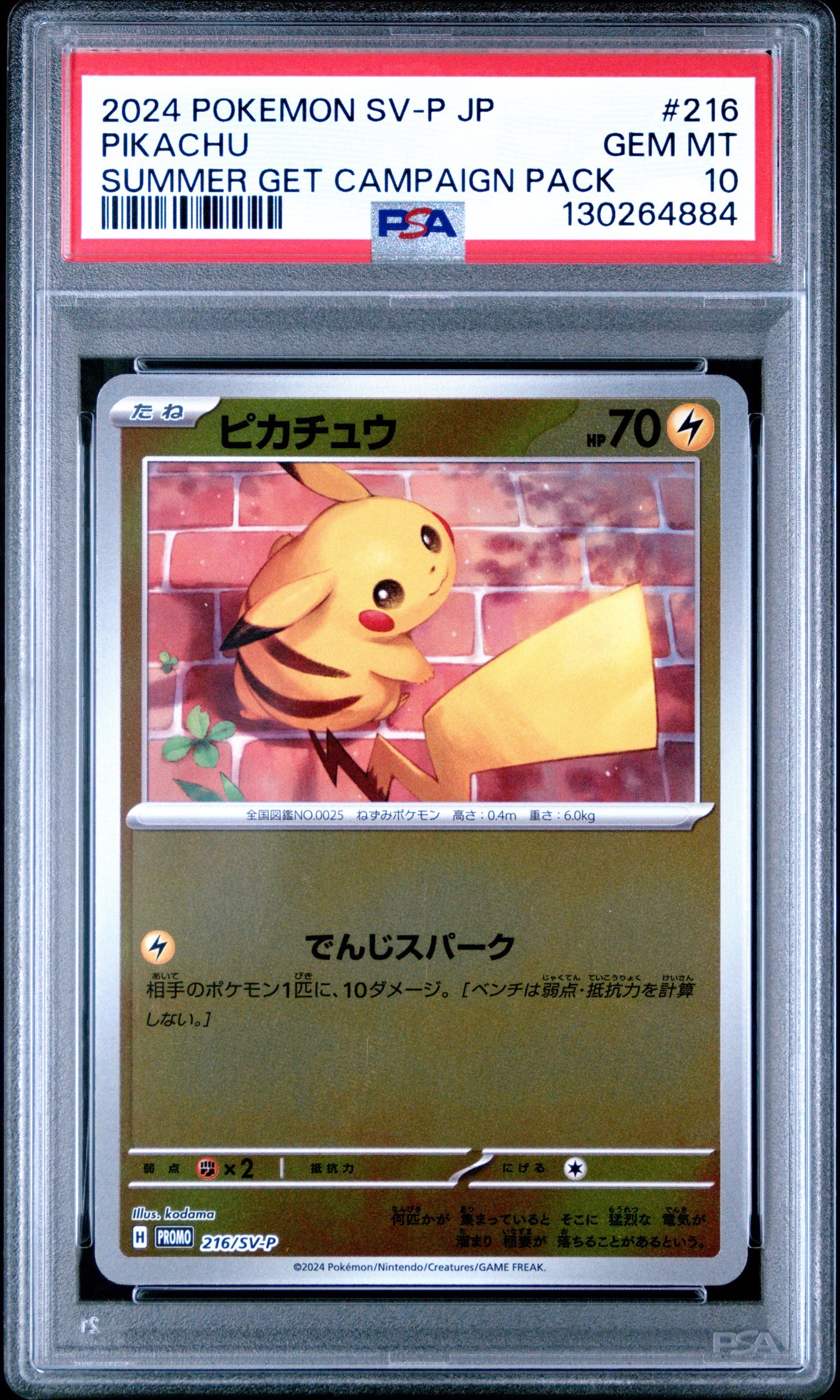 【PSA10】ピカチュウ SV-P 216 即日発送 PSA10 ピカチュウ 216/SV-P ポケカの夏がキタ! プロモ ポケモン - メルカリ