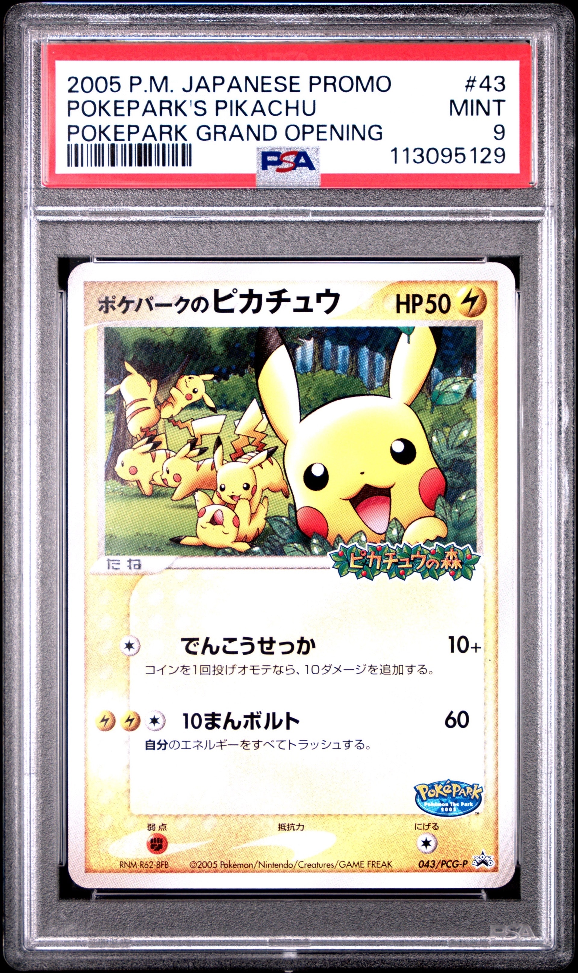 ポケパークのピカチュウ P [PCG-P 043](プロモーションカード「ポケパーク ルギアのくるくるシップ」)