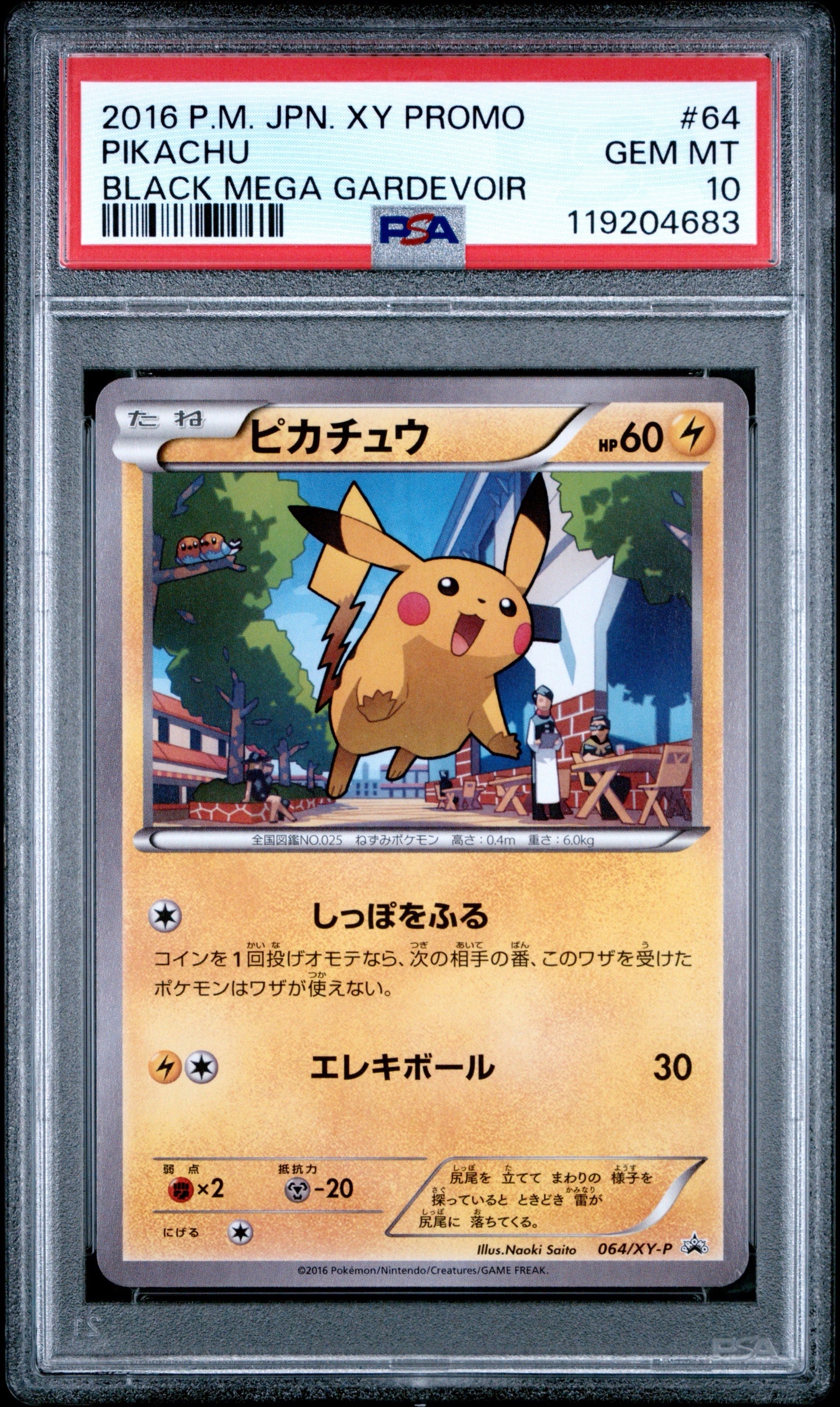 PSA10】ピカチュウ P [XY-P 064](プロモーションカード「熱戦にそなえ