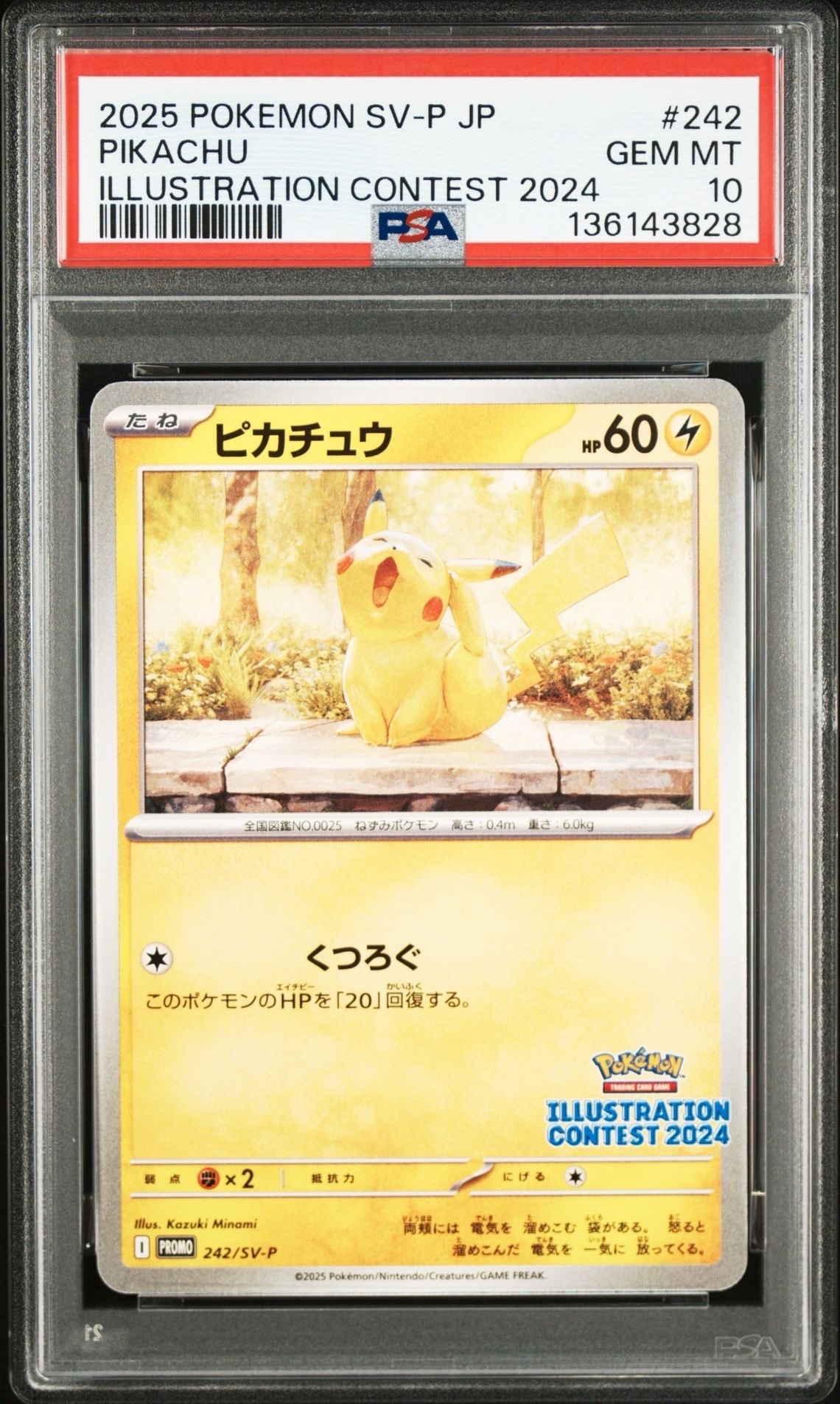 ピカチュウ [SV-P 242](プロモカードパック「イラストレーション