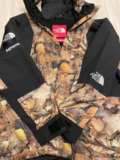 Supreme x The North Face Leaves Mountain Light Jacket "Leaves"