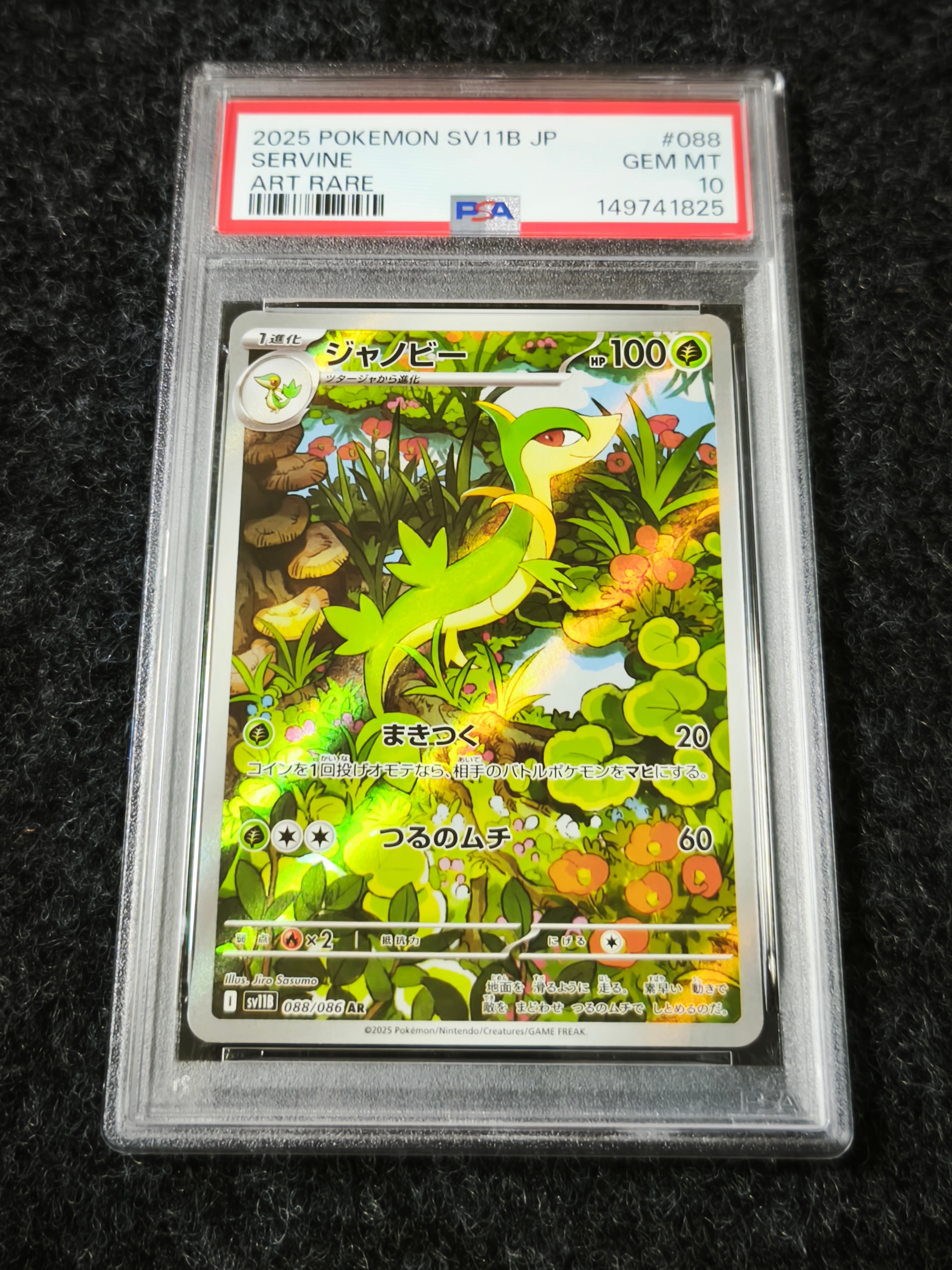 ジャノビー AR [SV11B 088/086](拡張パック「ブラックボルト」)の新品