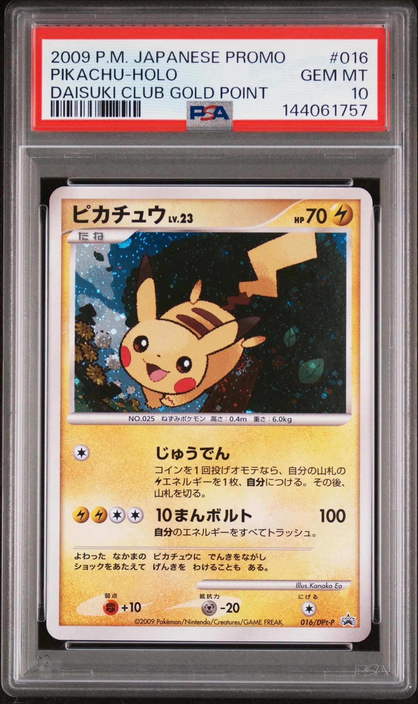 ピカチュウ: プロモ[DPt-P 016/DPt-P](プロモーションカード「DPt-P