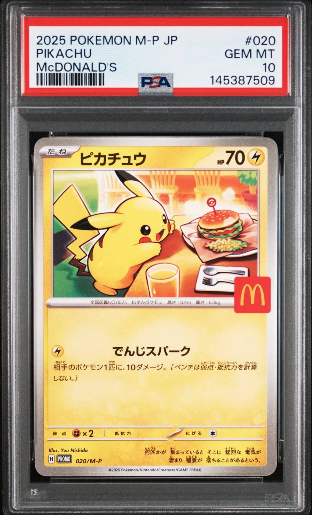 ピカチュウ [SV-P 242](プロモカードパック「イラストレーション