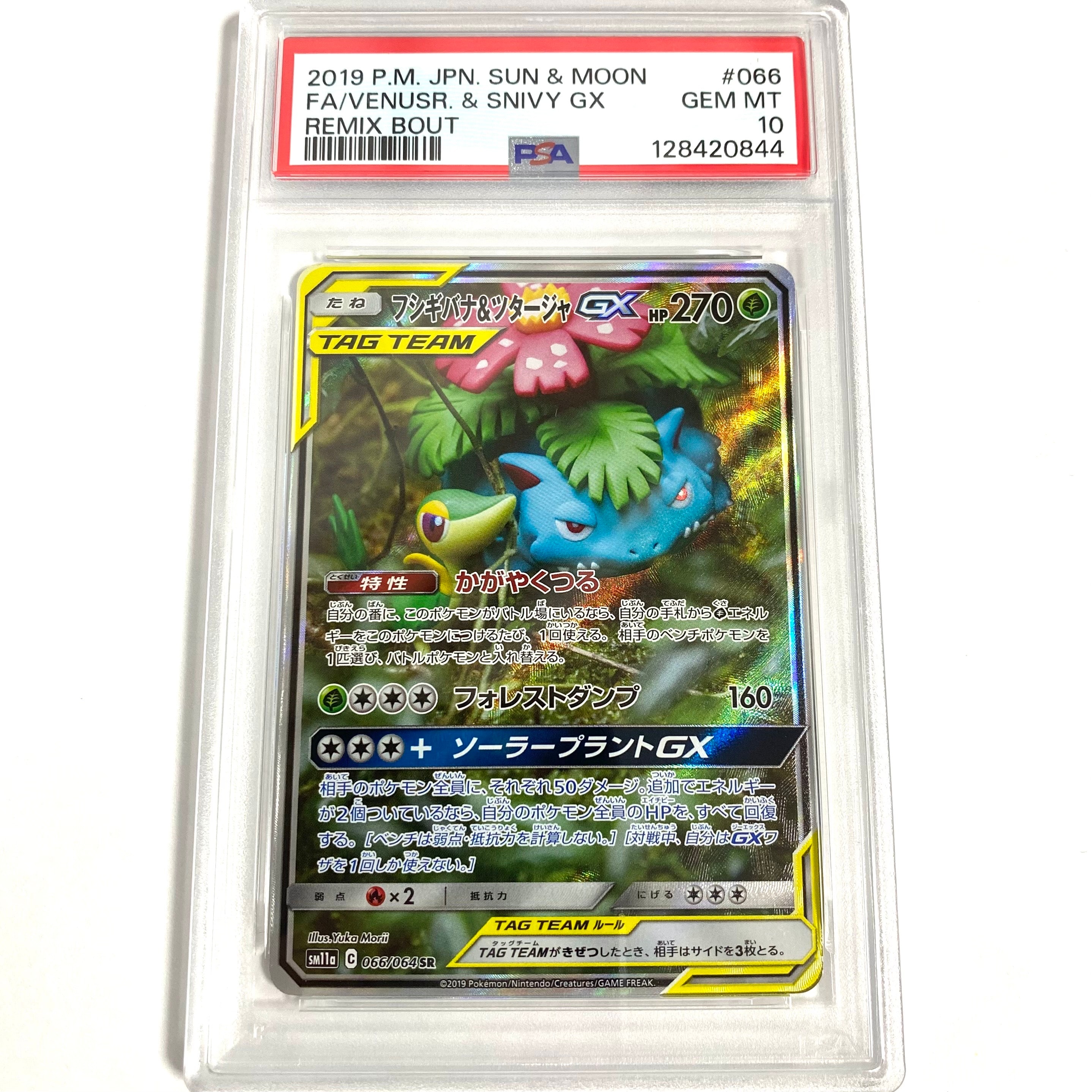 フシギバナ&ツタージャGX SR: SA[SM11a 066/064](強化拡張パック「リミックスバウト」)